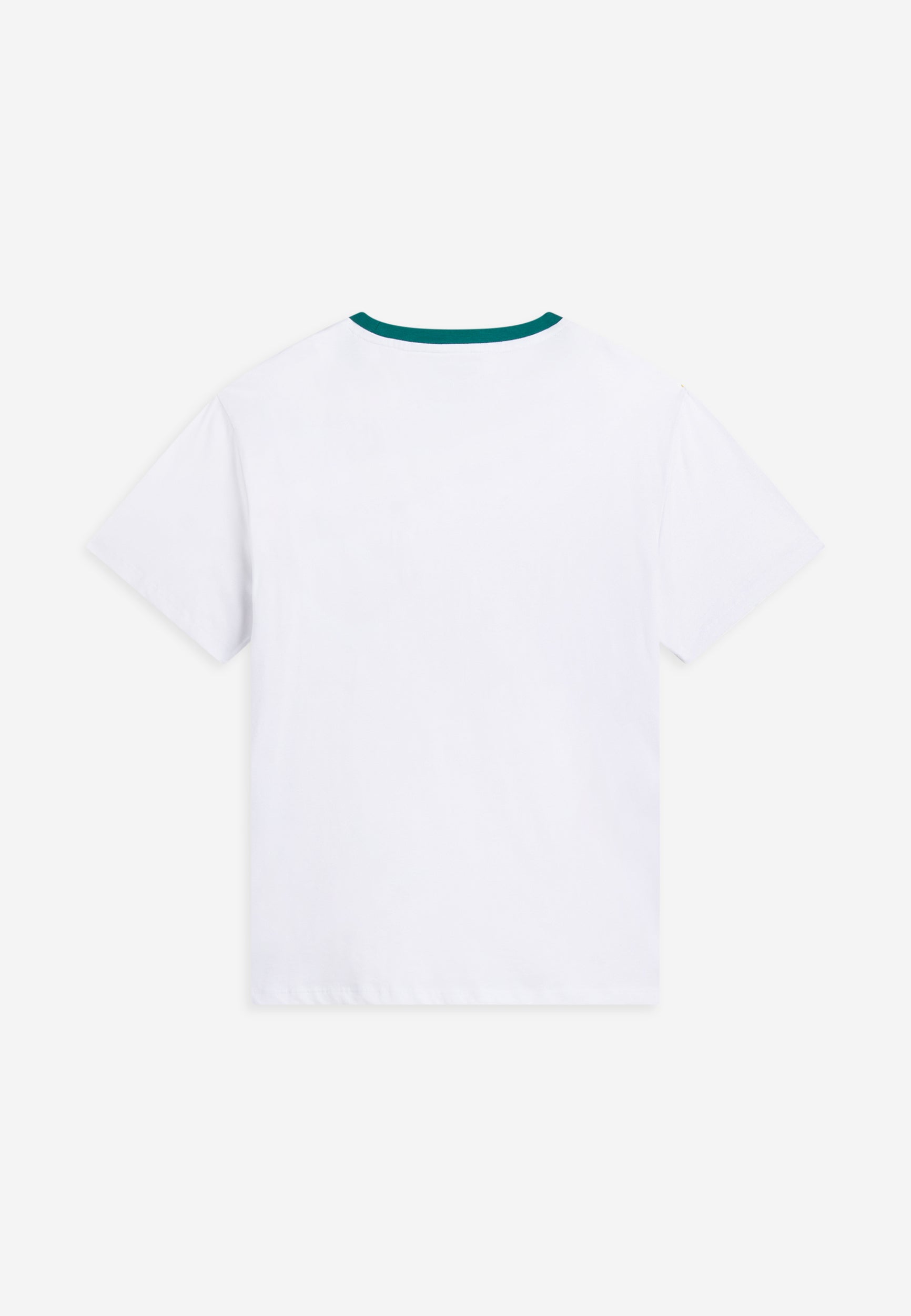 01F0466_2TU003_-_2BM_S 2