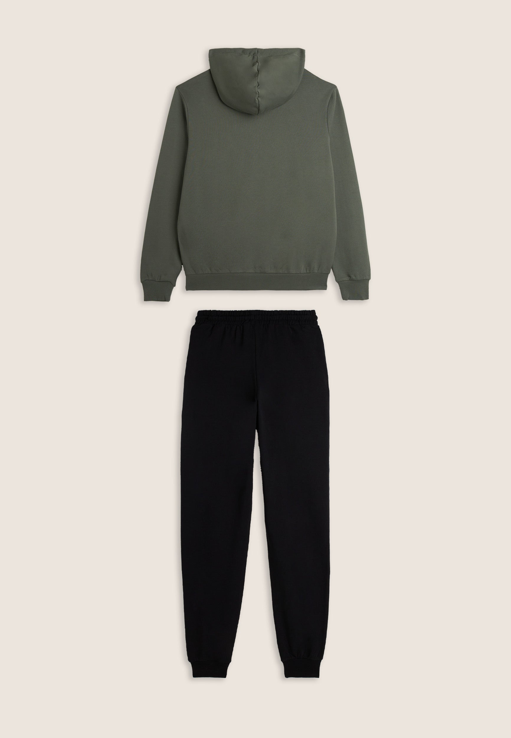 01F1086_2S5009_-_2BM_M 2