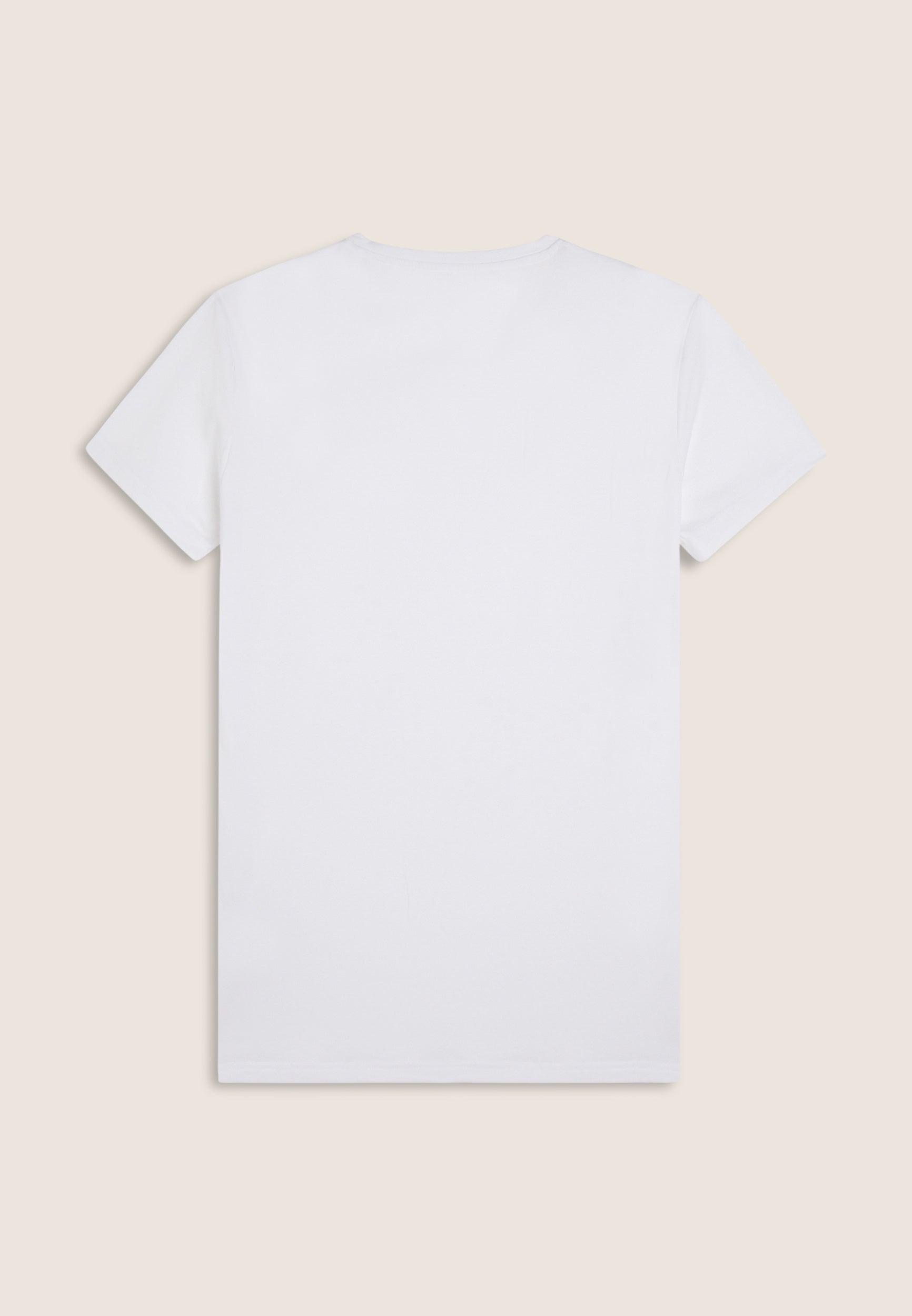 AB-FRY1MTS01_AB0W3_-_ABM_M 2