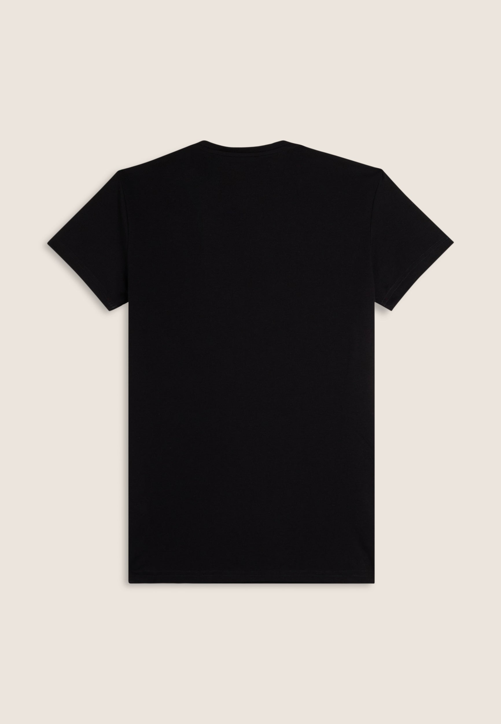 AB-FRY1MTS05_AB0N_-_ABM_M 2