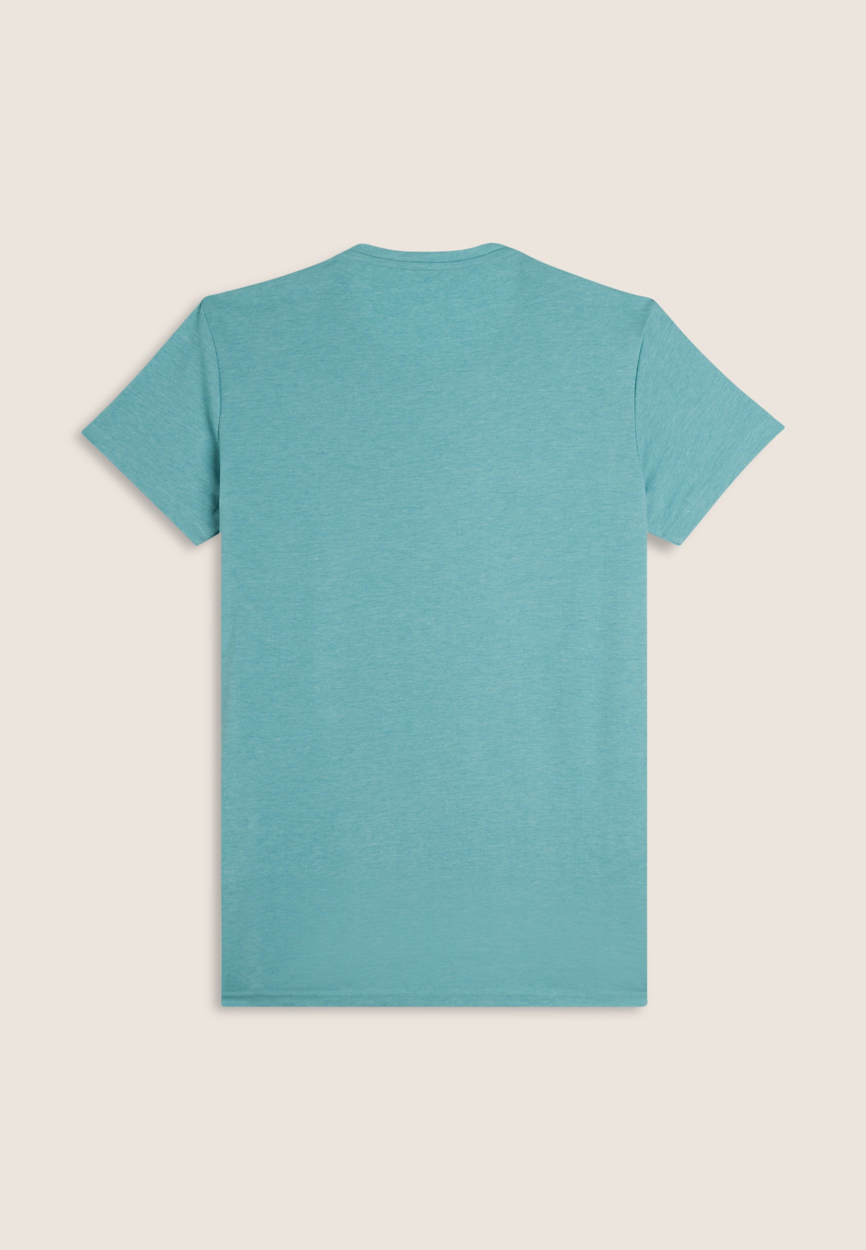 AB-FRY1MTS05_AB0T1_-_ABM_M 2