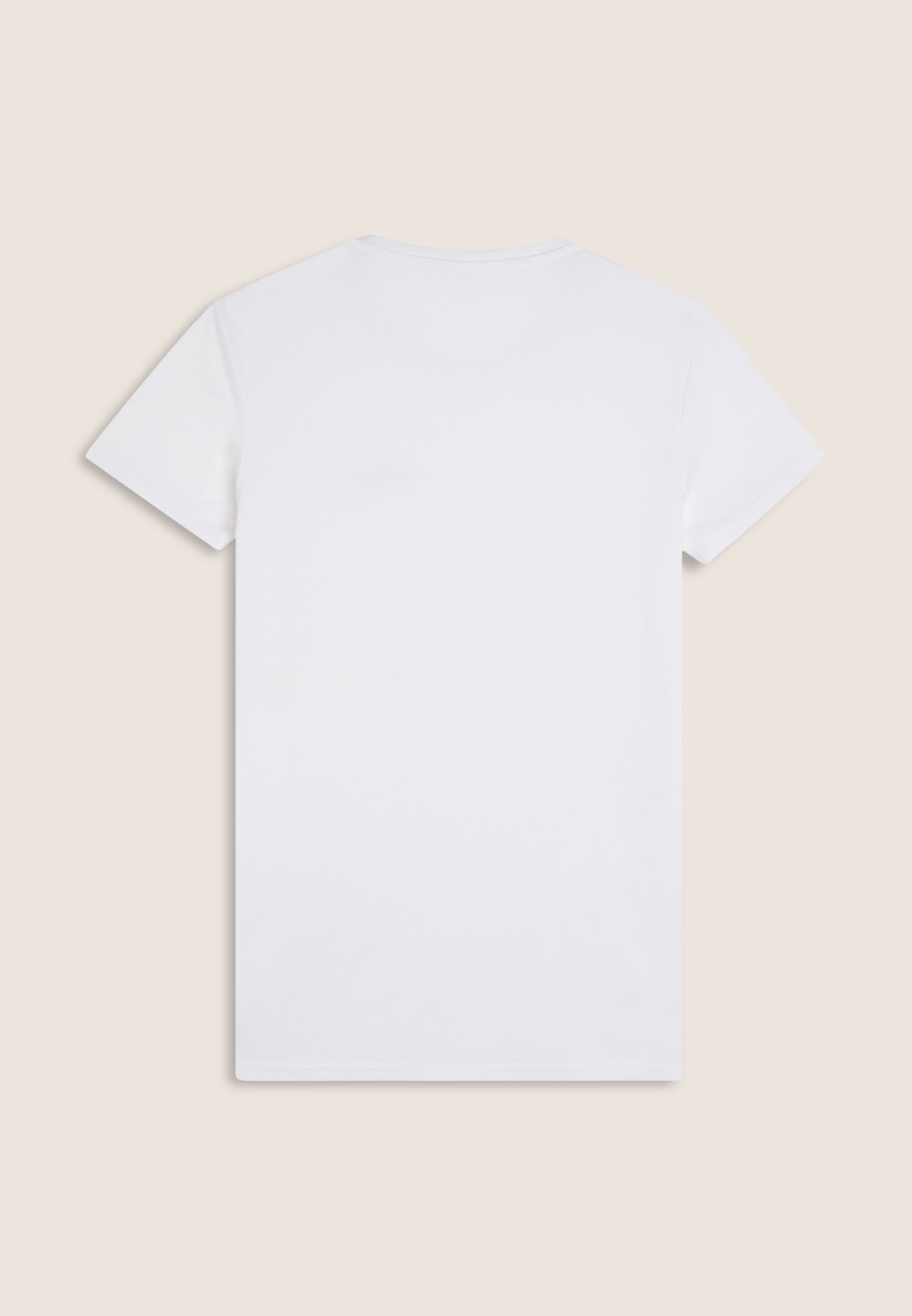 AB-FRY1MTS05_AB0W_-_ABM_M 2