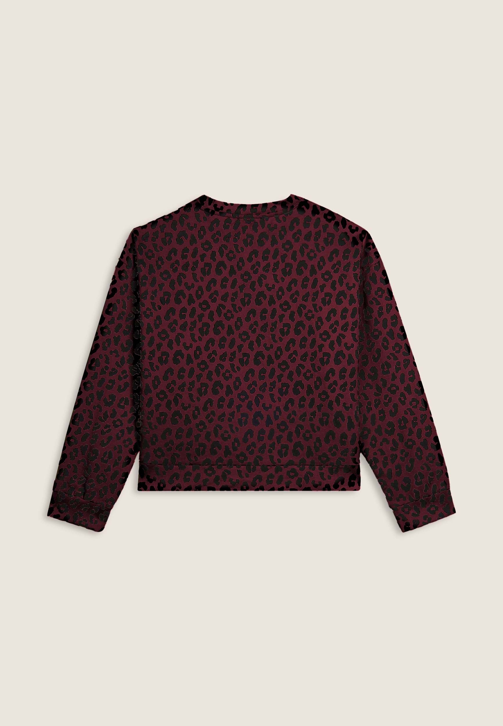 F25WMCS5C_ANI58_-_W_L 2