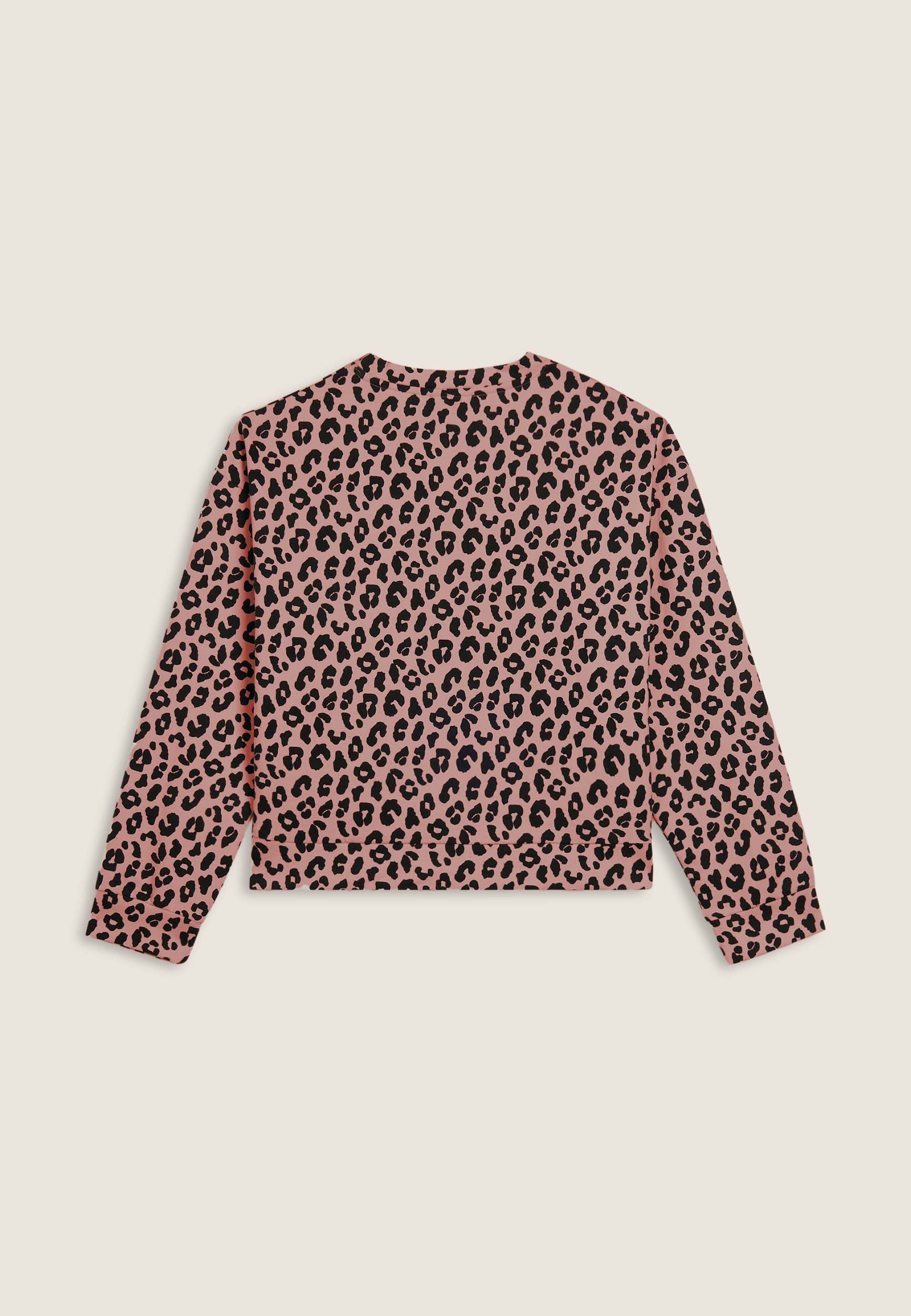 F25WMCS5C_ANI77_-_W_L 2