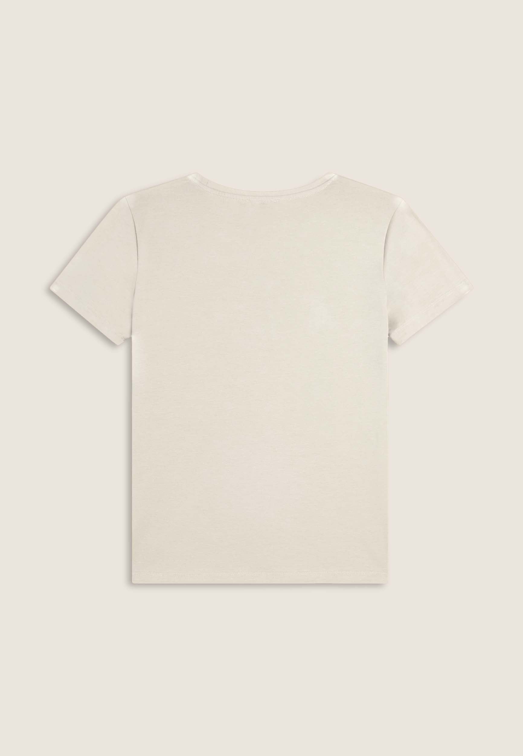 F25WSDT1_W101_-_W_L 5