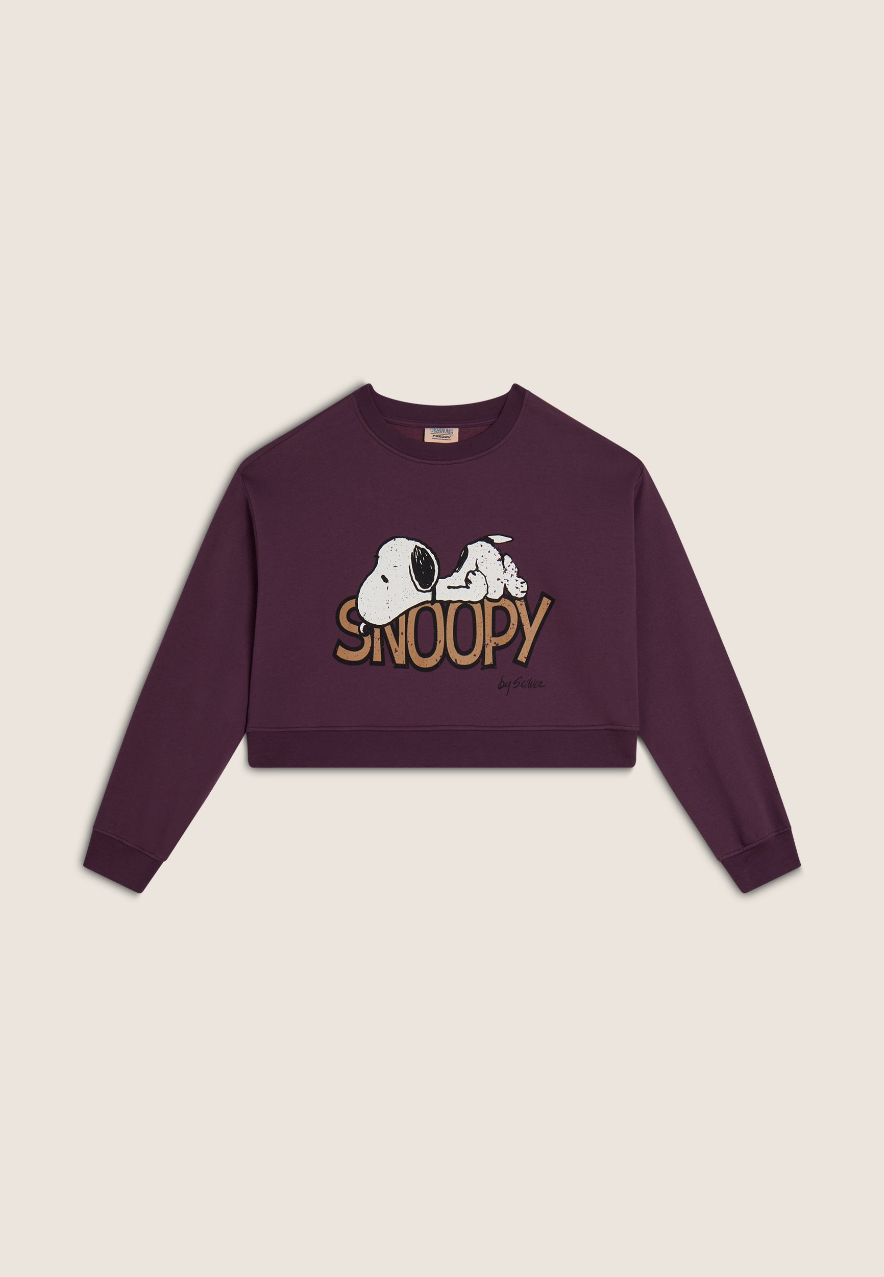 F4WMCS1-ST1_E61_-_W_L 5