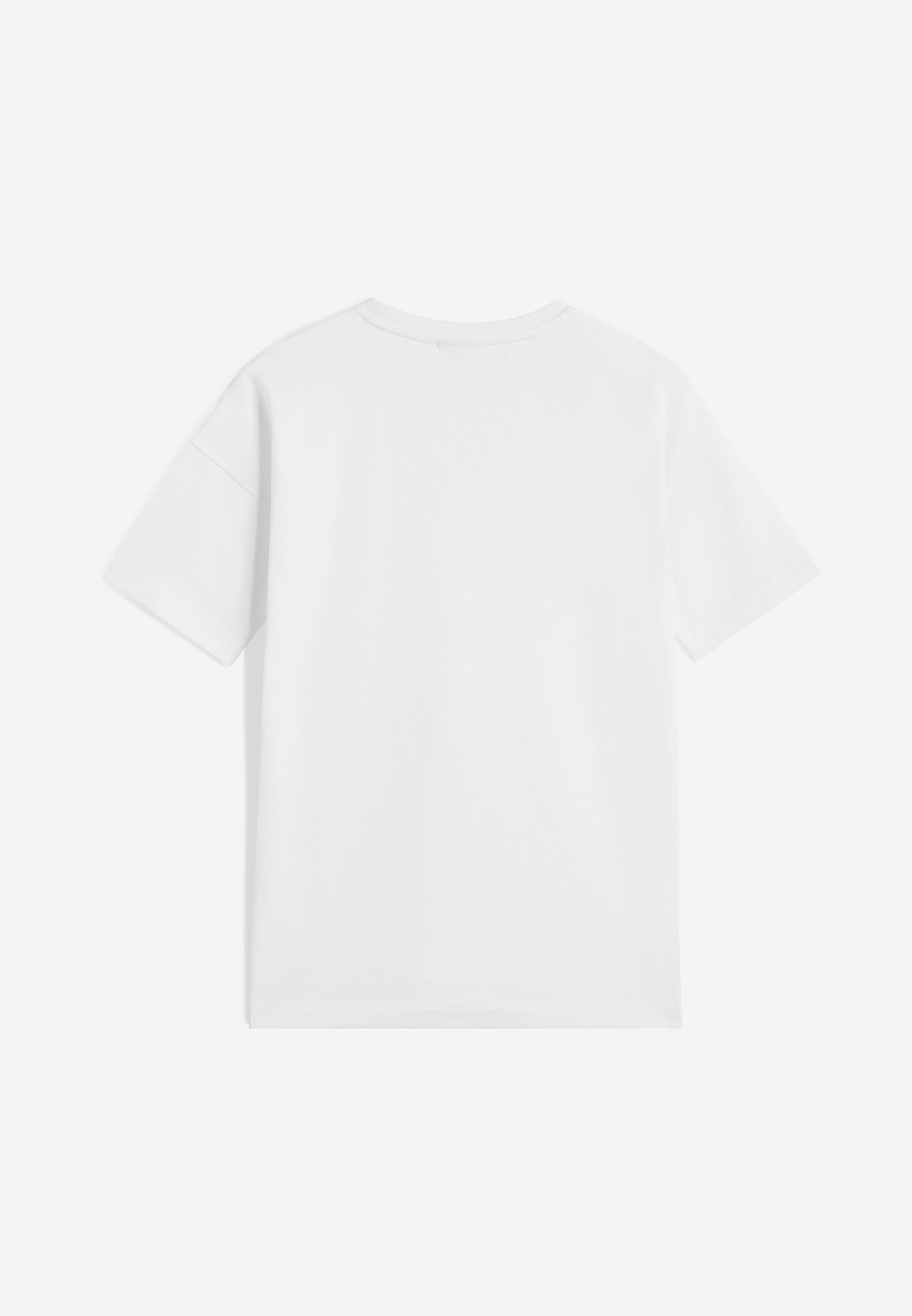 FR1519_2TJ005_-_2BG_4 2