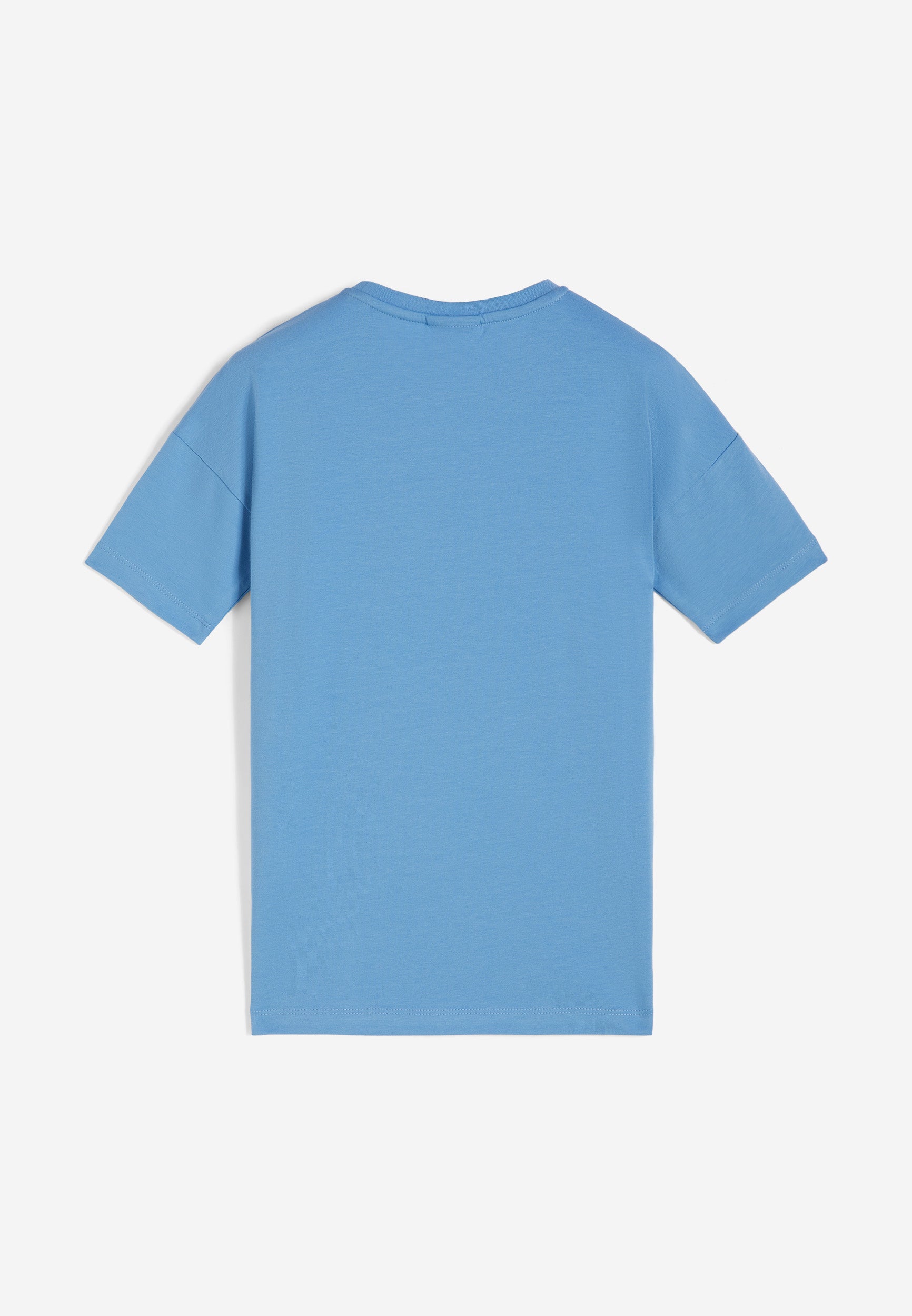 FR1519_2TJ021_-_2BG_4 2