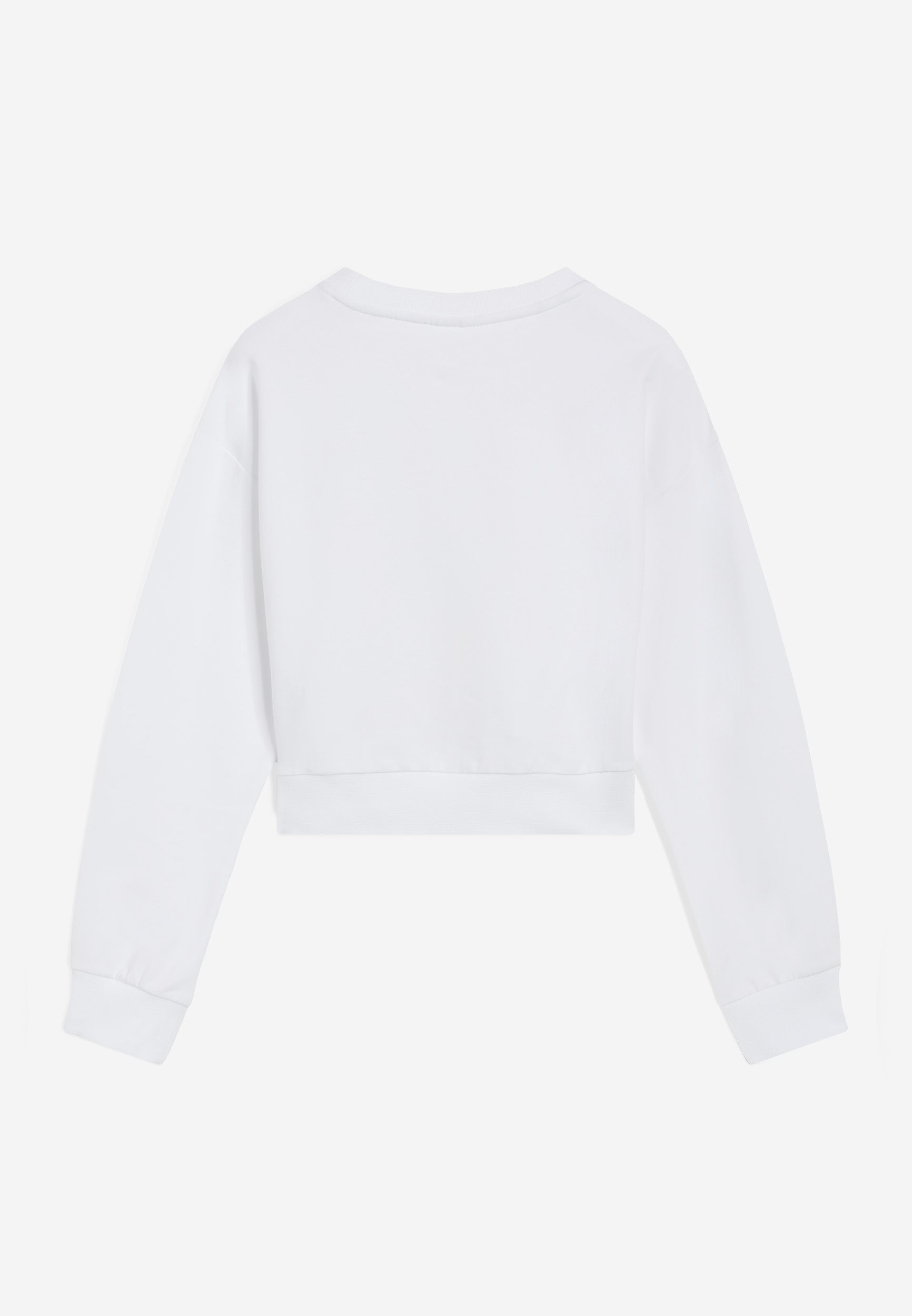 FR1571_2TG005_-_2BG_4 2