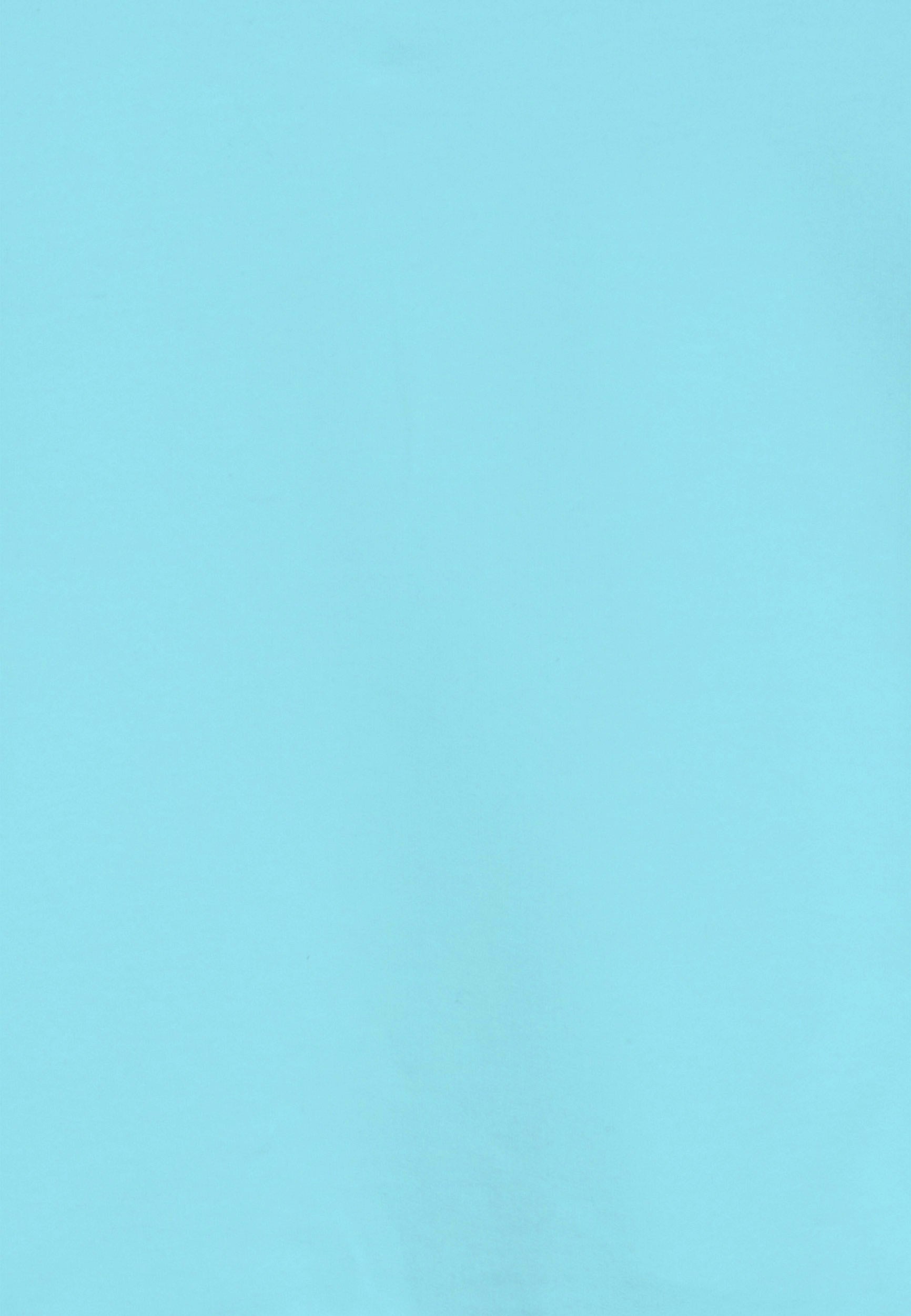 FR1571_2TG021_-_2BG_4 3