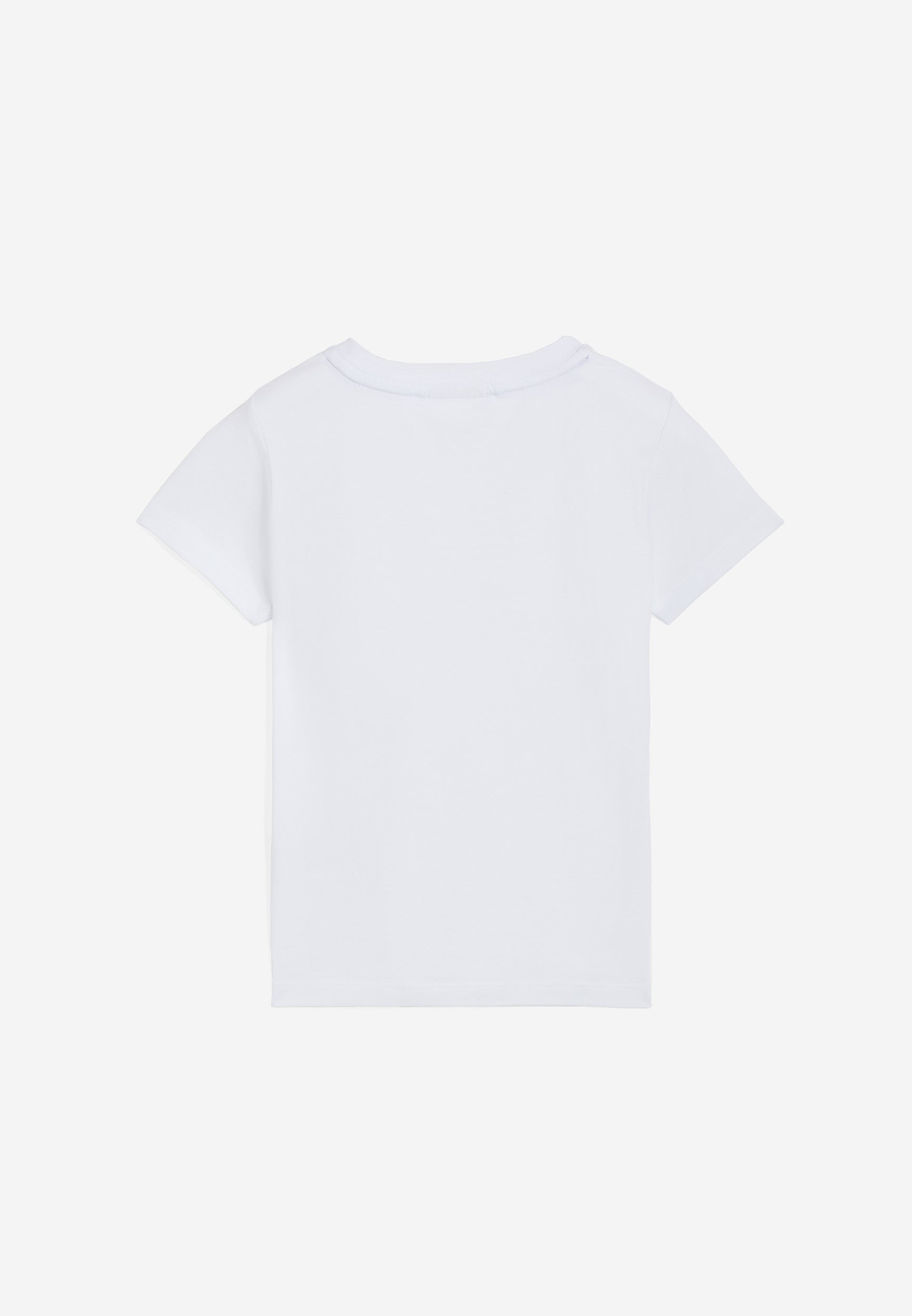 FR1636_2TG005_-_2BG_4 2