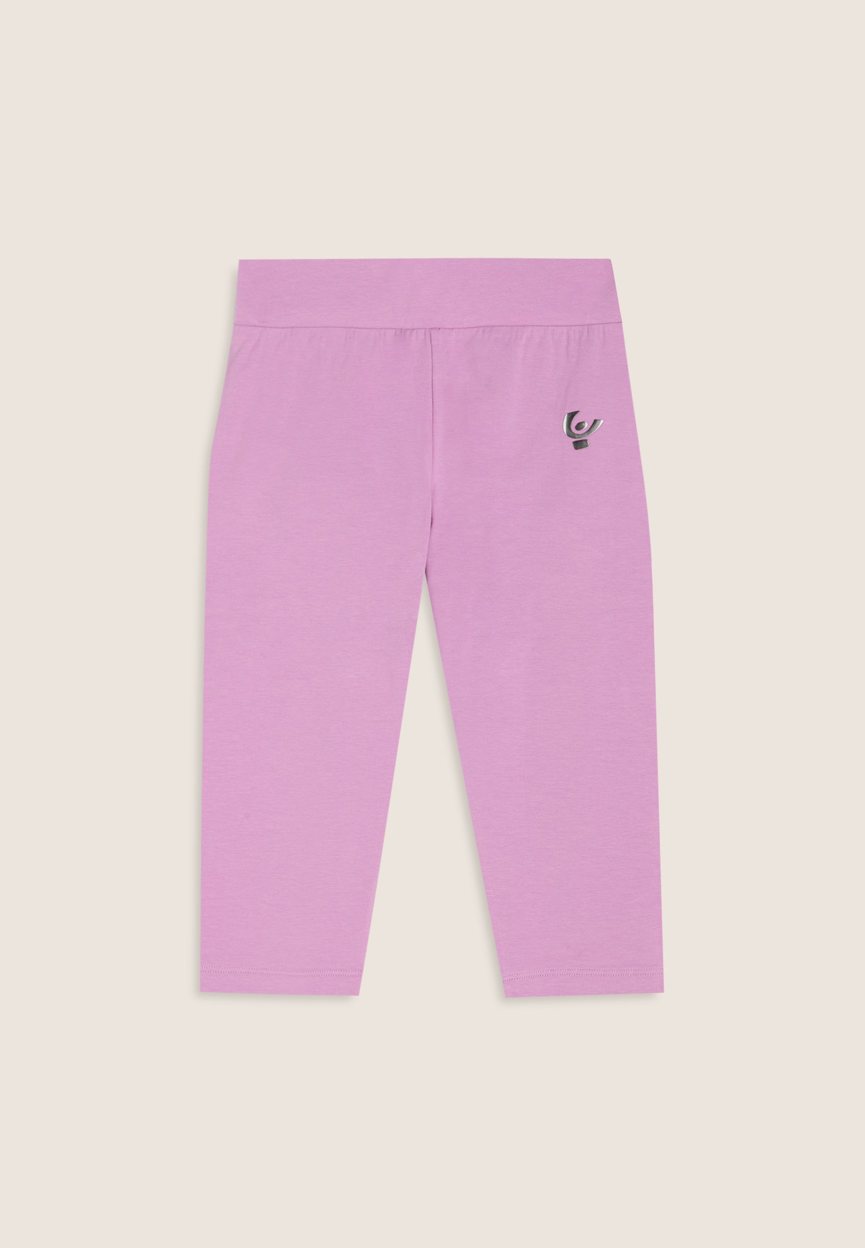 FR2010_2TB008_-_2BG_10 1