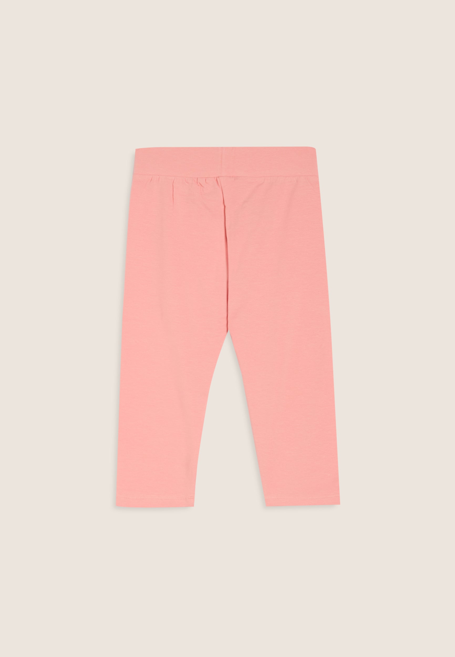 FR2010_2TB016_-_2BG_10 2