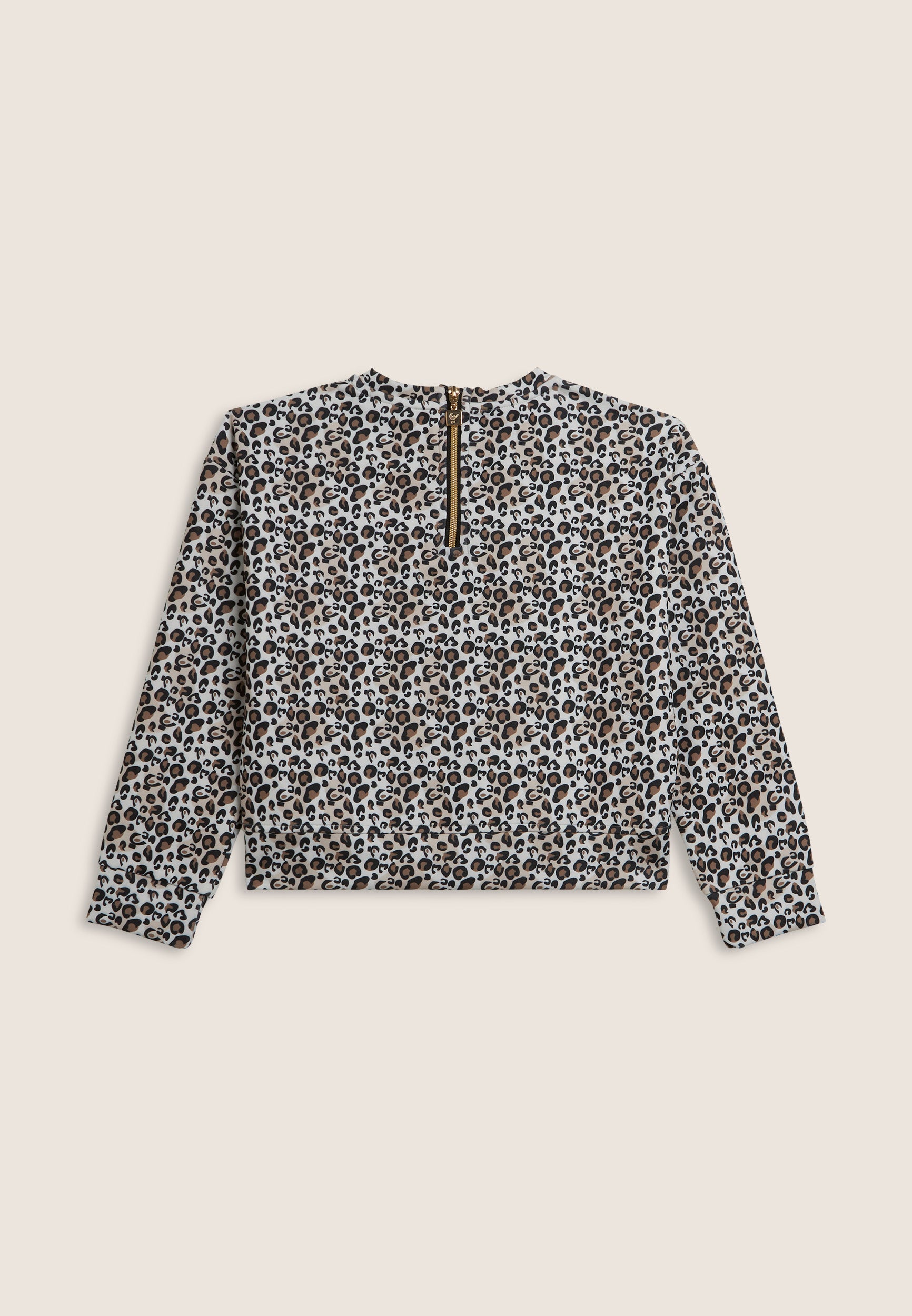 FR2112_2F5000_-_2BG_10 2