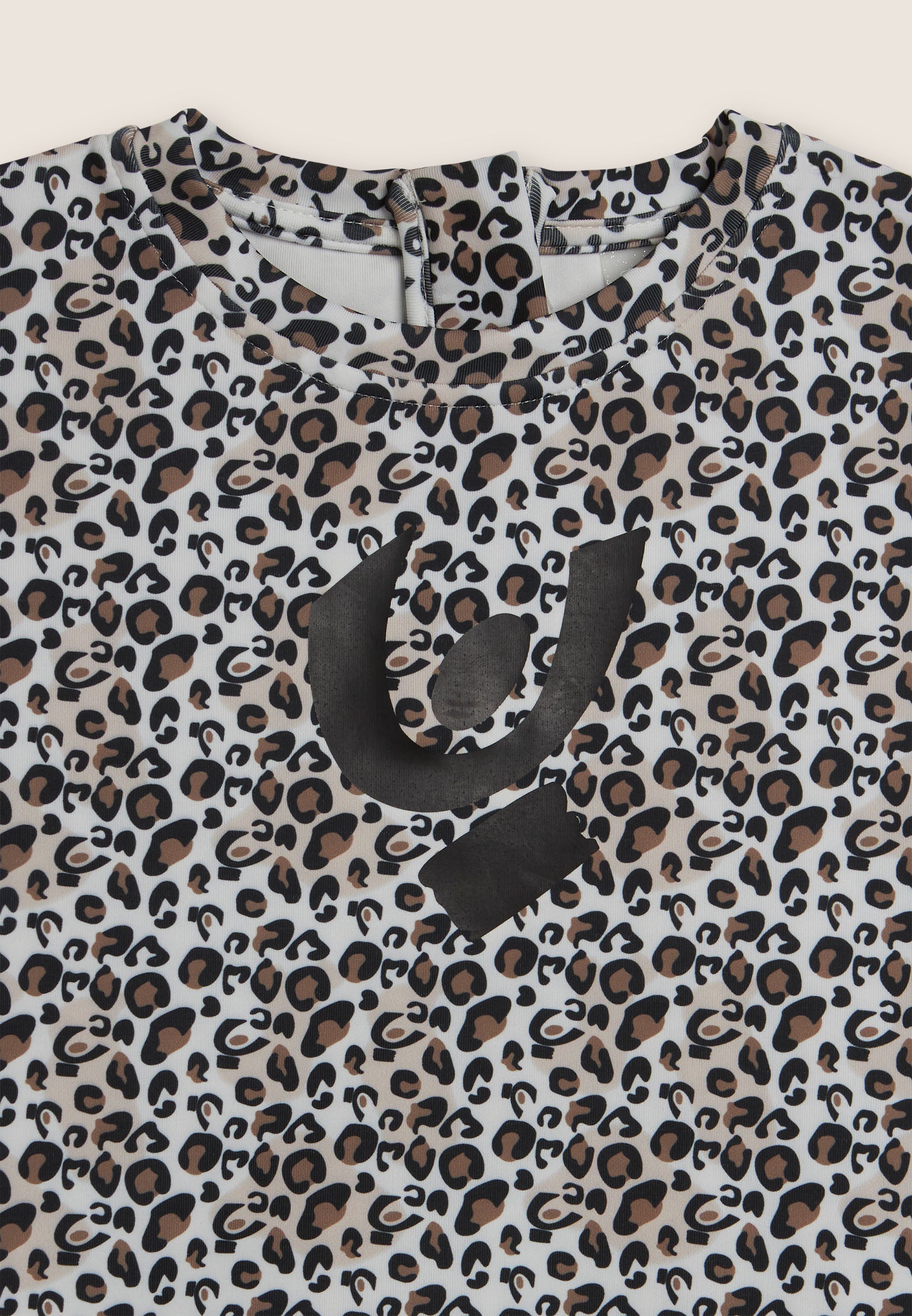 FR2112_2F5000_-_2BG_10 3