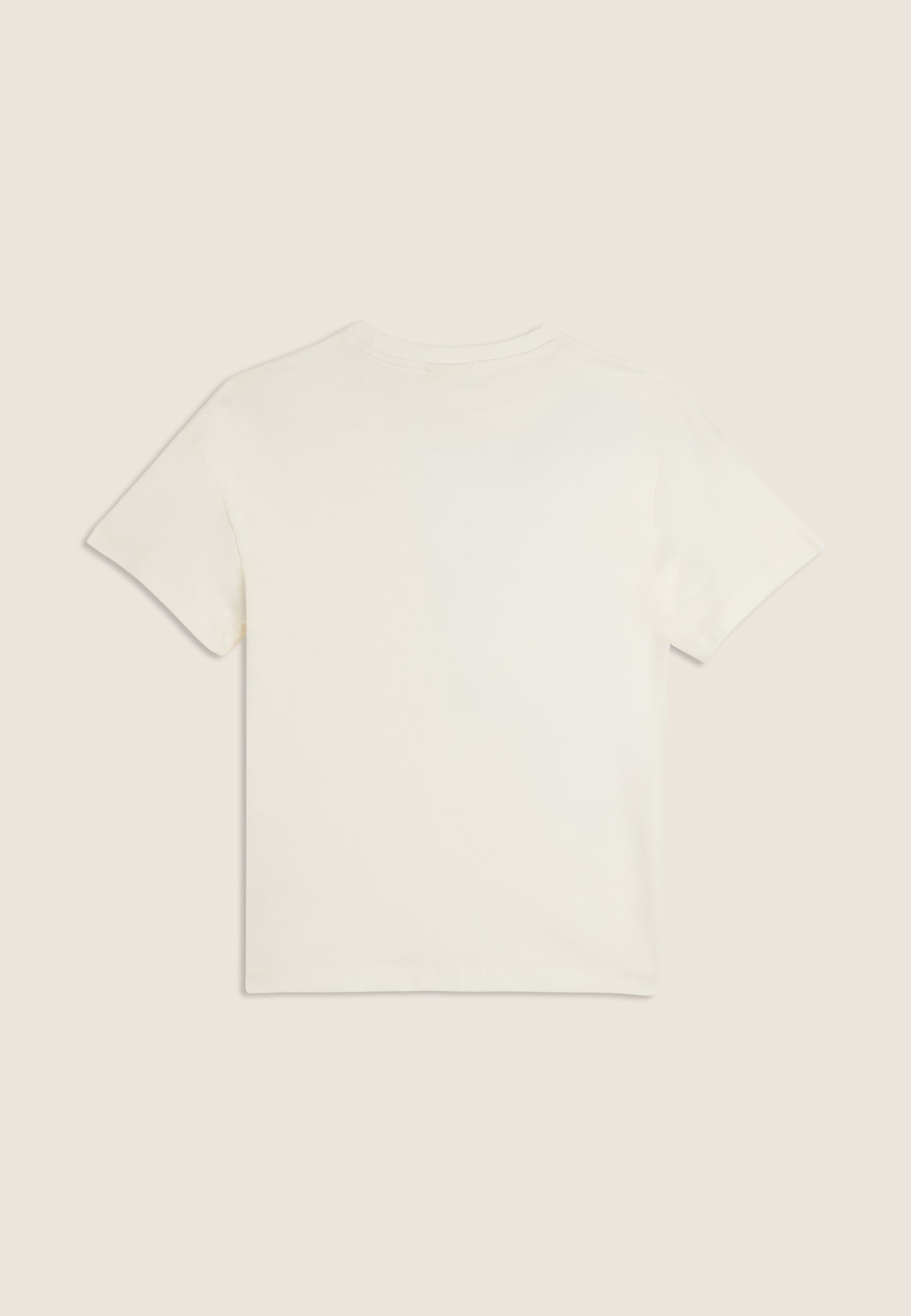 FR2120_2F5010_-_2BG_10 2