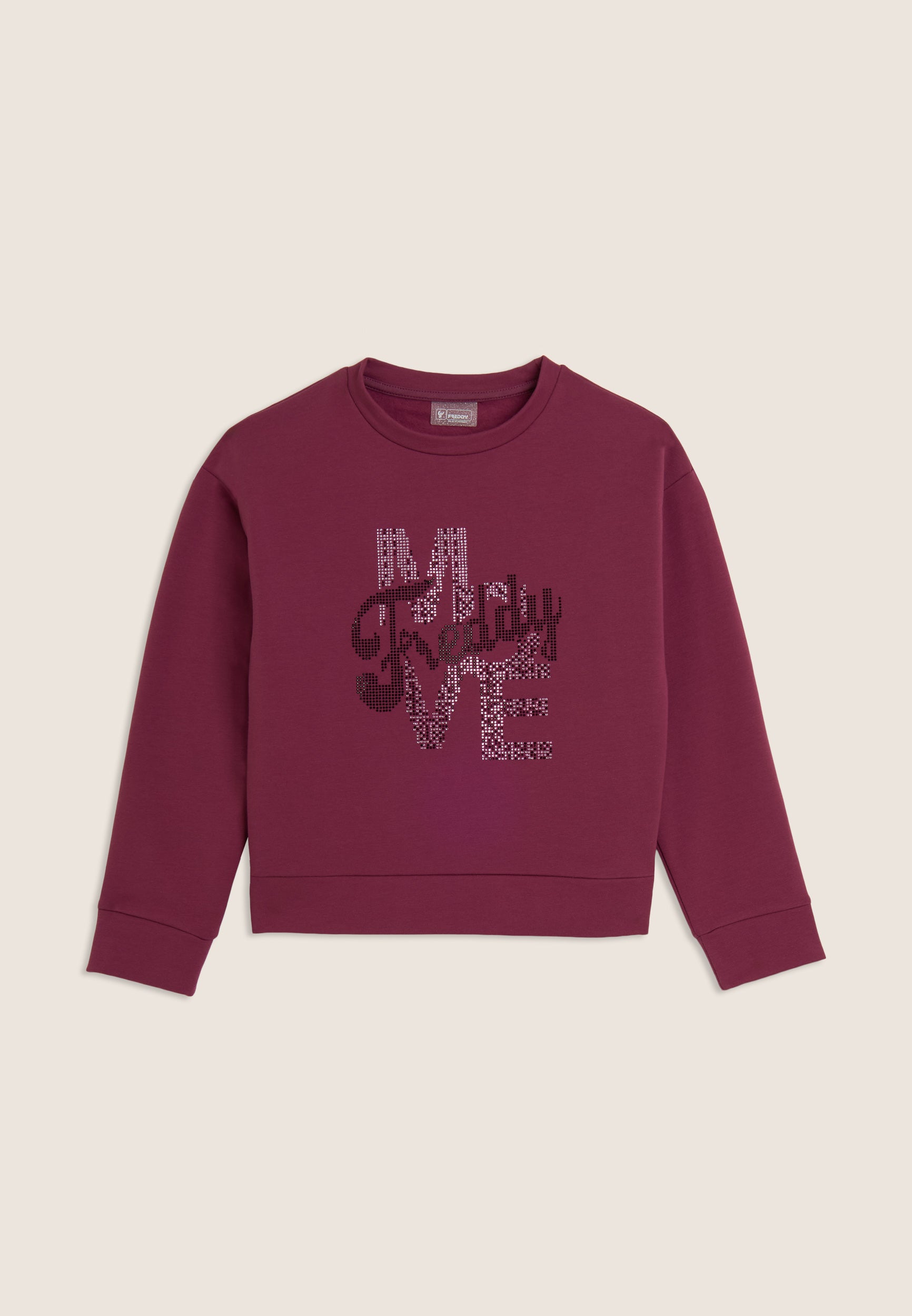 FR2137_2F5019_-_2BG_10 1