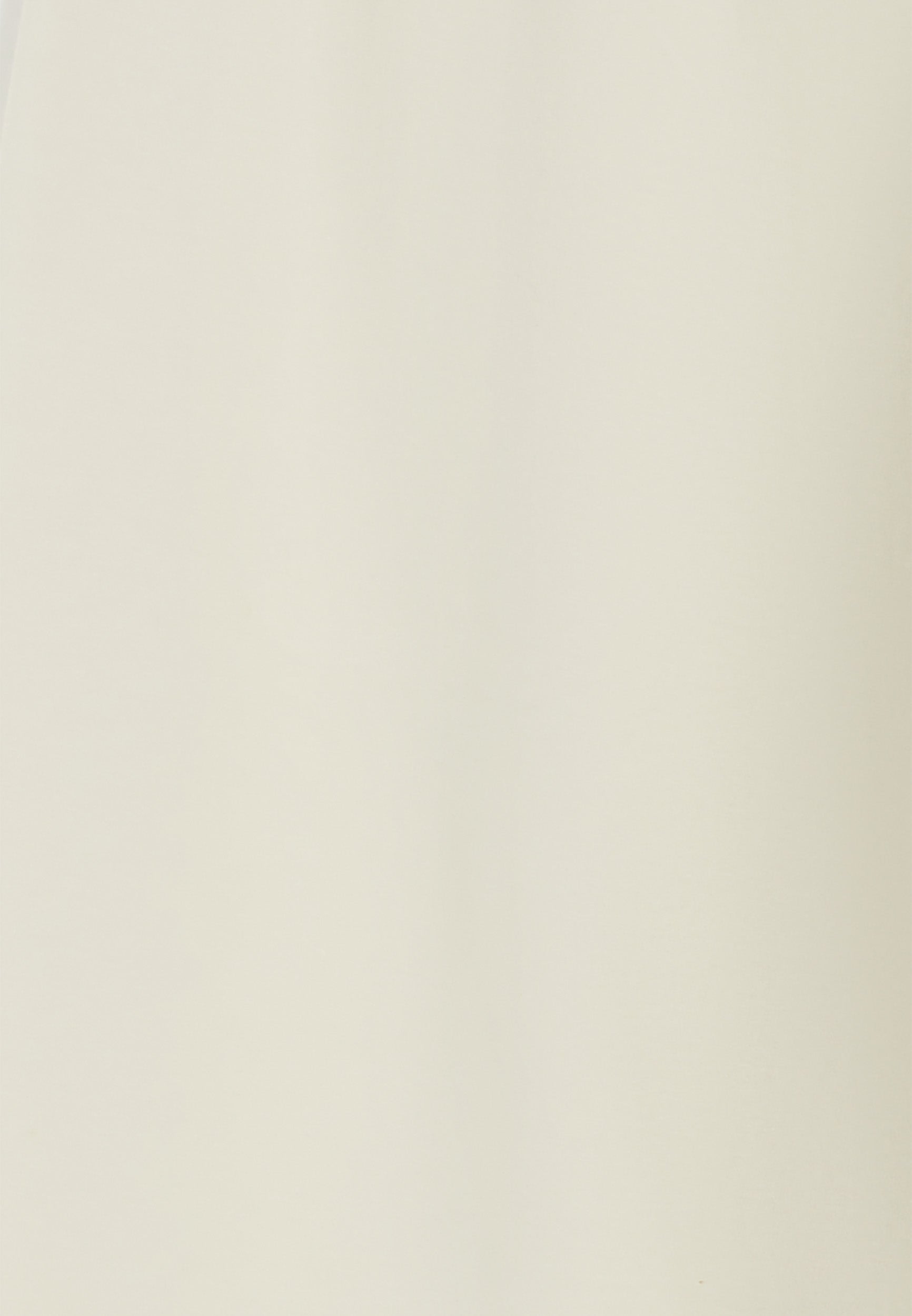 JOGGERS408_Z83_-_W_XL 7