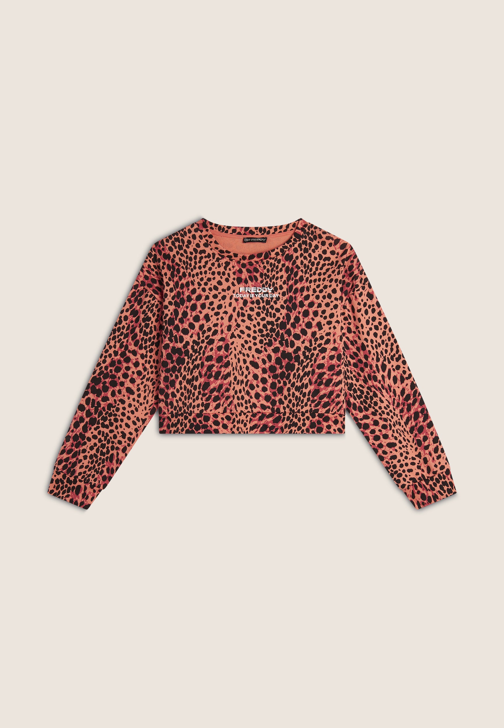 S25WMCS1C_ANI118_-_W_L 5