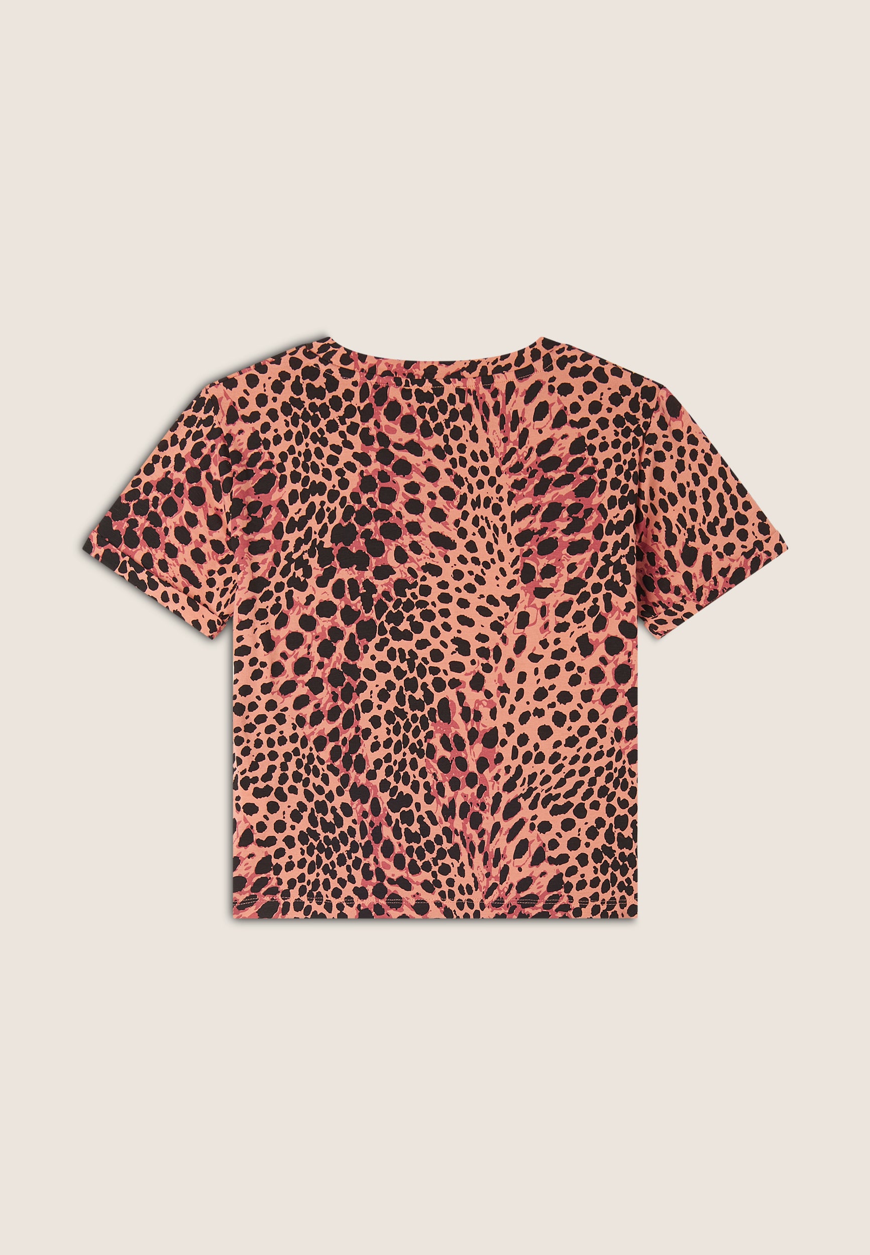 S25WMCT1C_ANI118_-_W_L 2