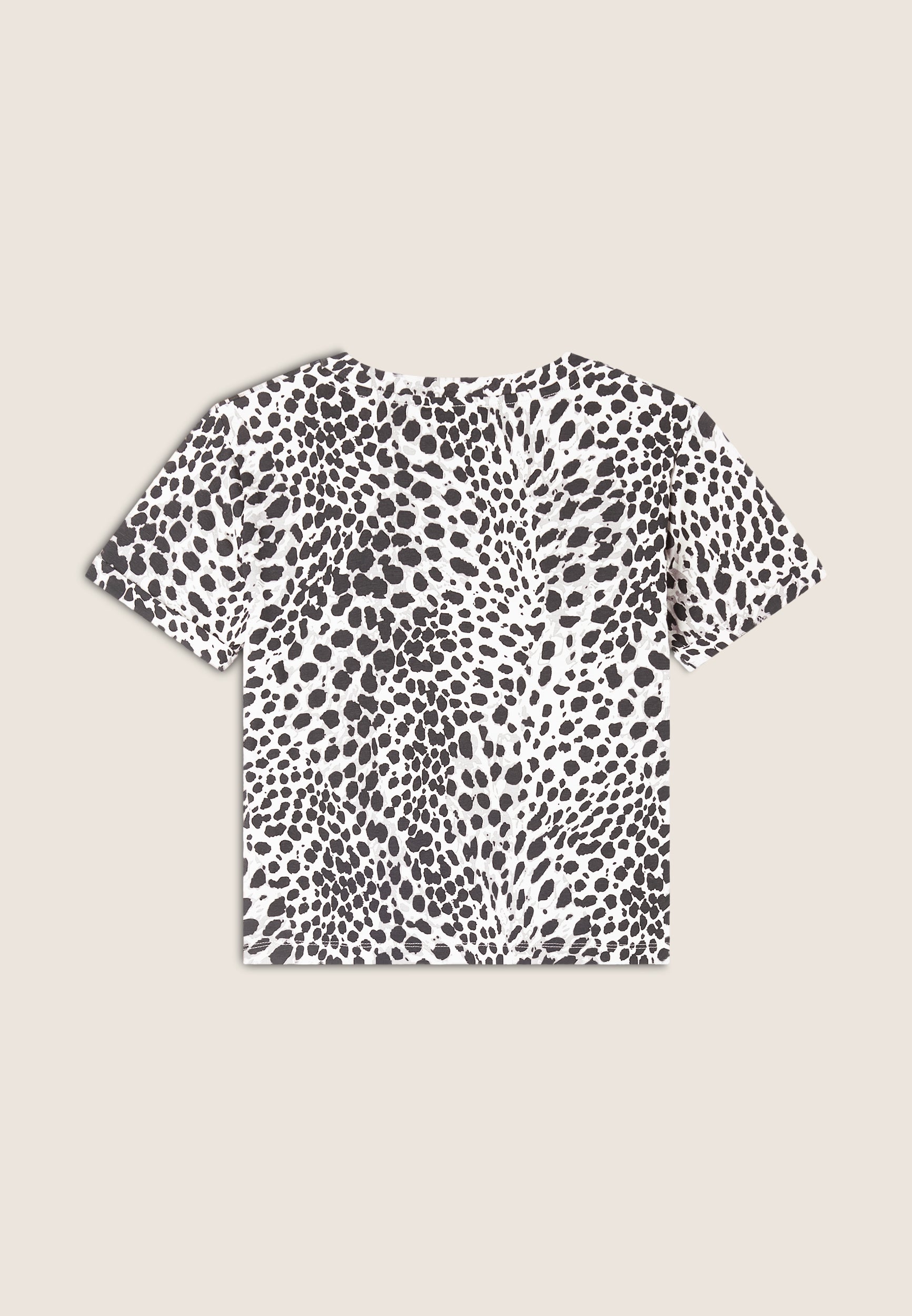 S25WMCT1C_ANI122_-_W_XXS 2