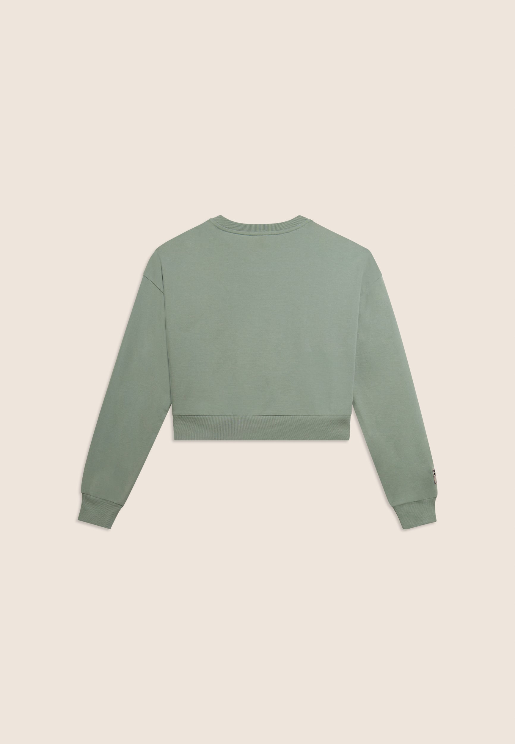 S26WCPS1_V96_-_W_L 6