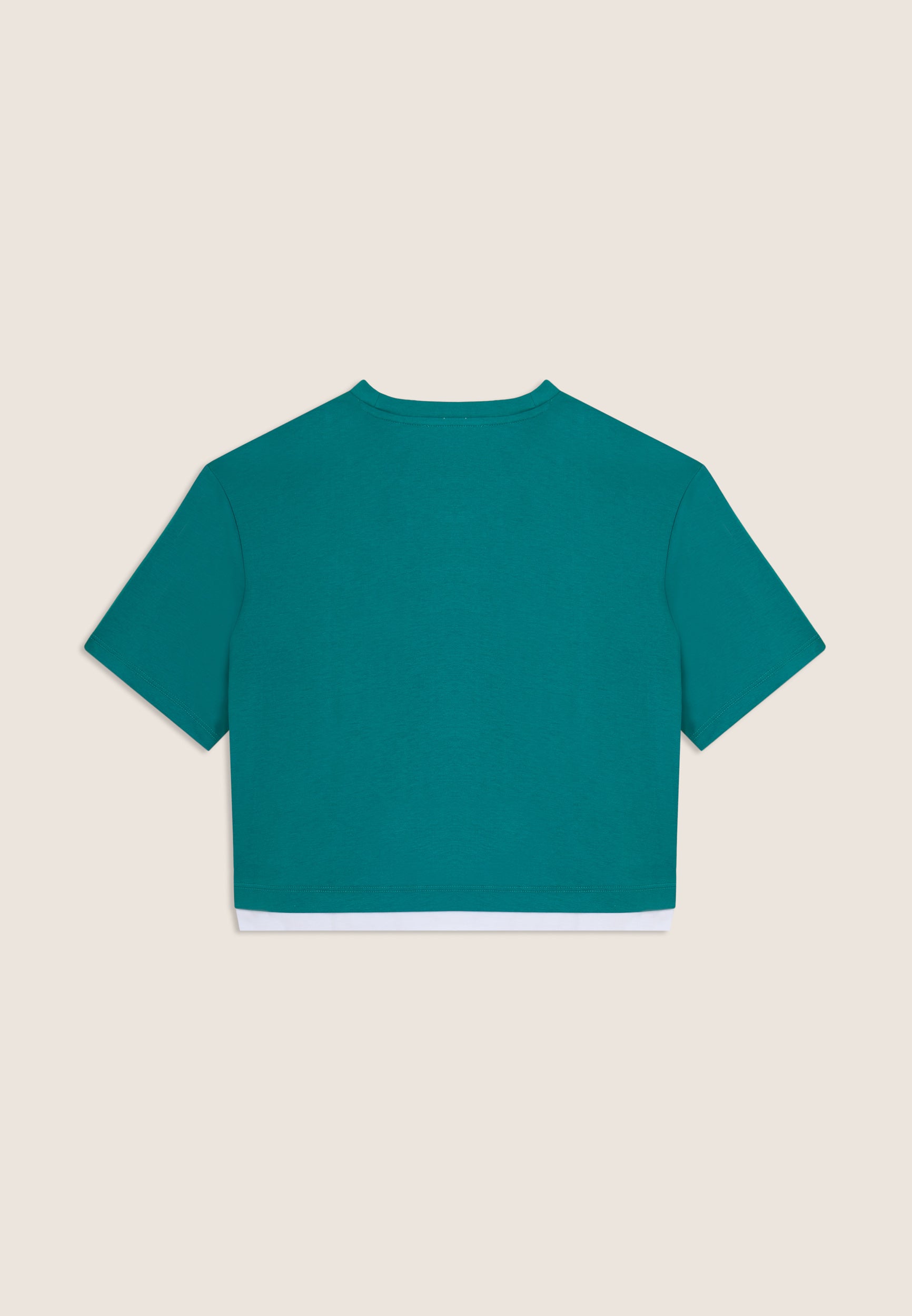 S26WMVT3_V97W_-_W_L 2