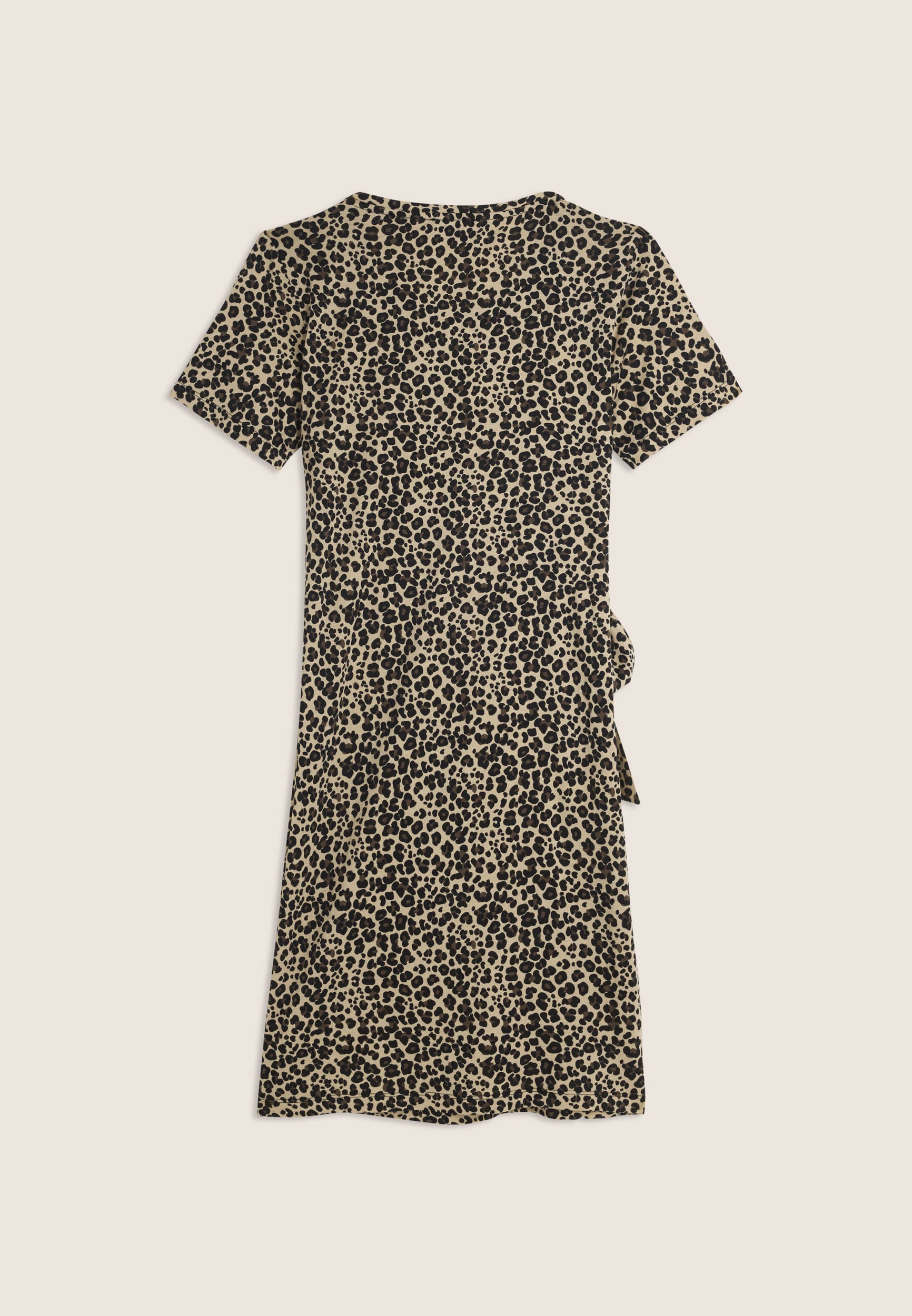 S26WSLD2C_ANI138_-_W_L 6