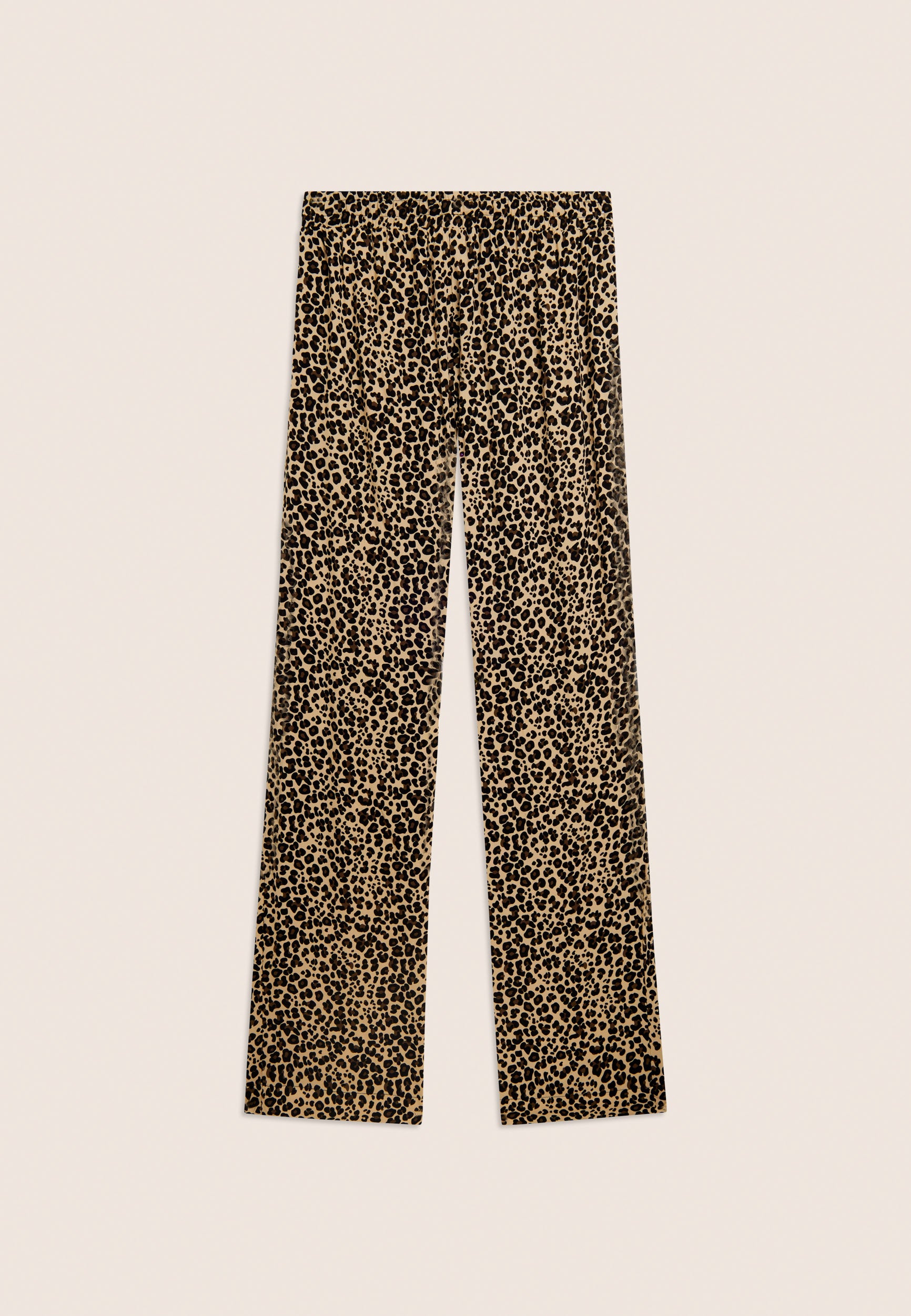 S26WSLP5C_ANI138_-_W_L 6