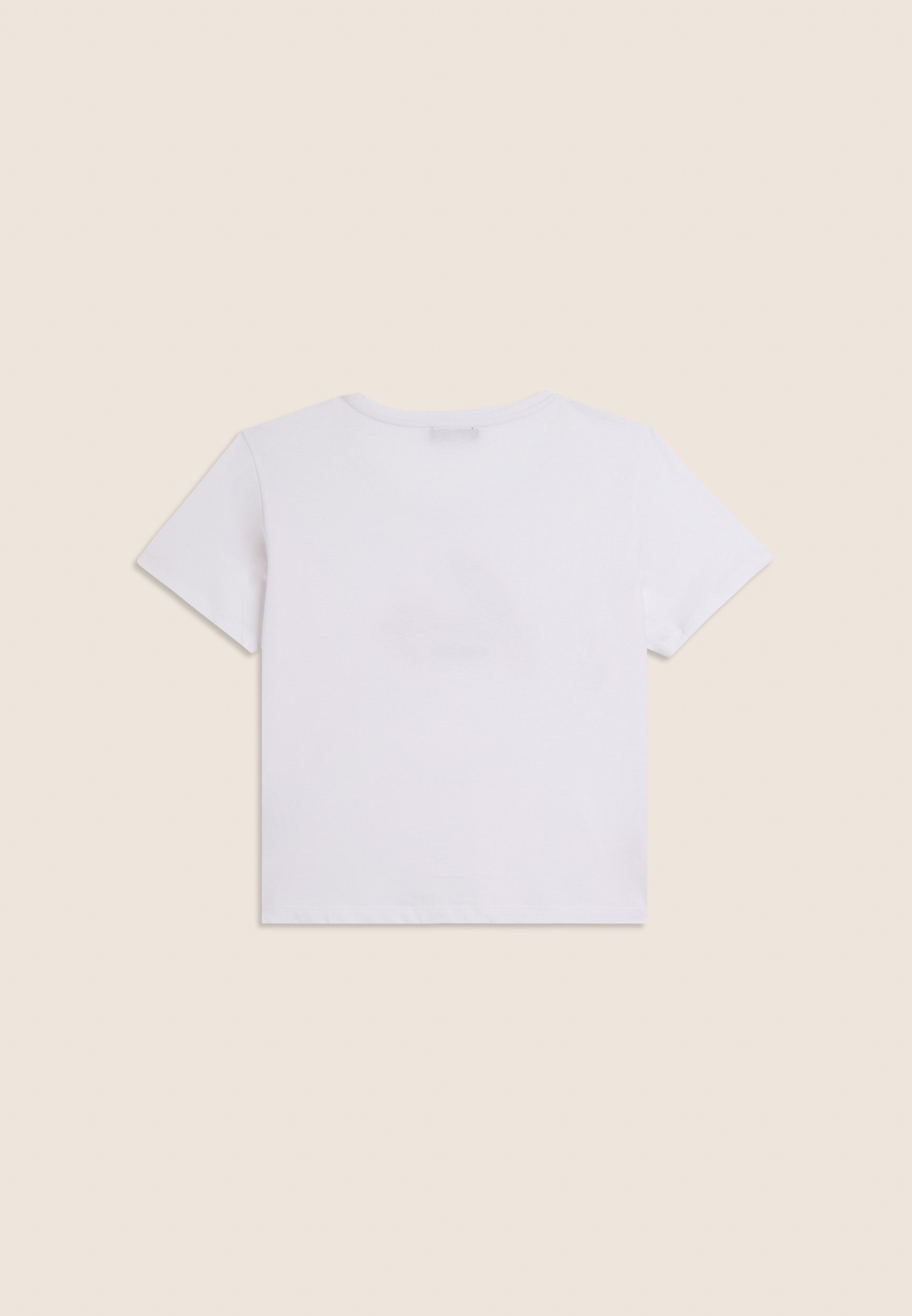 S26WTEET2_WC_-_W_L 2