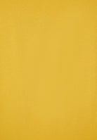 S4WTRT2_Y25_-_W_XS 3