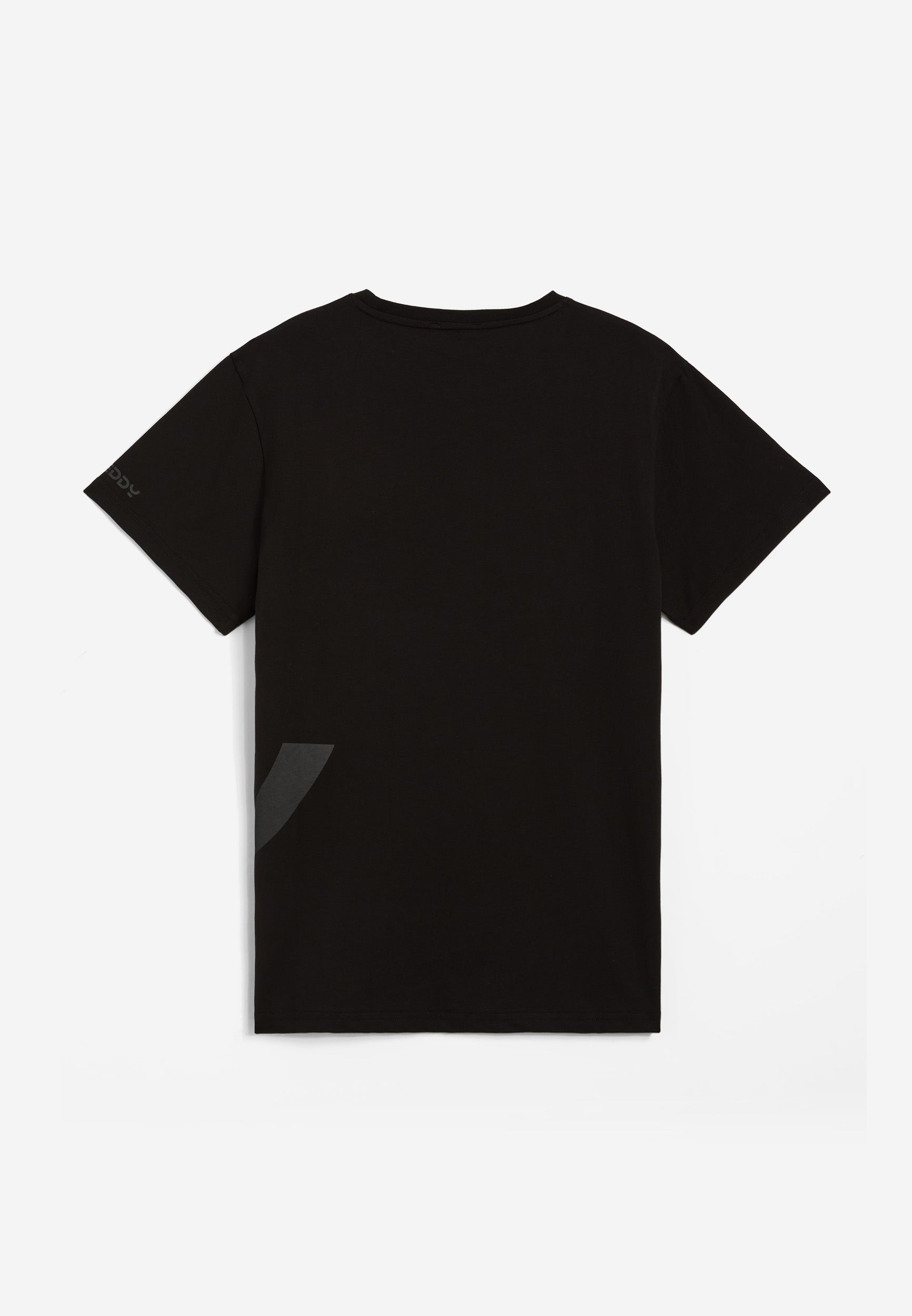 AB-FRY1MTS02_AB0N_-_ABM_S 2
