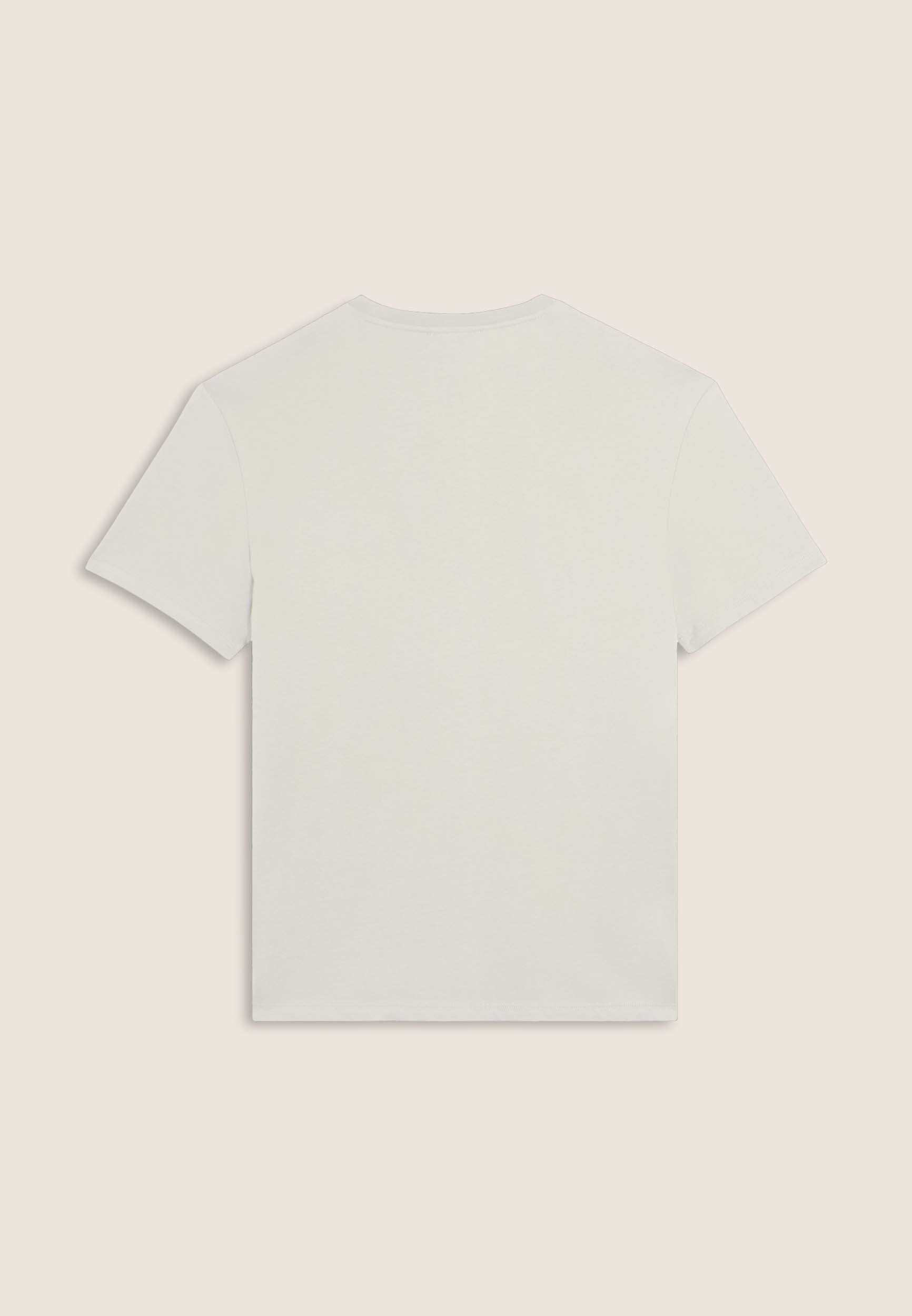 F25MEST1_W71_-_M_3XL 2