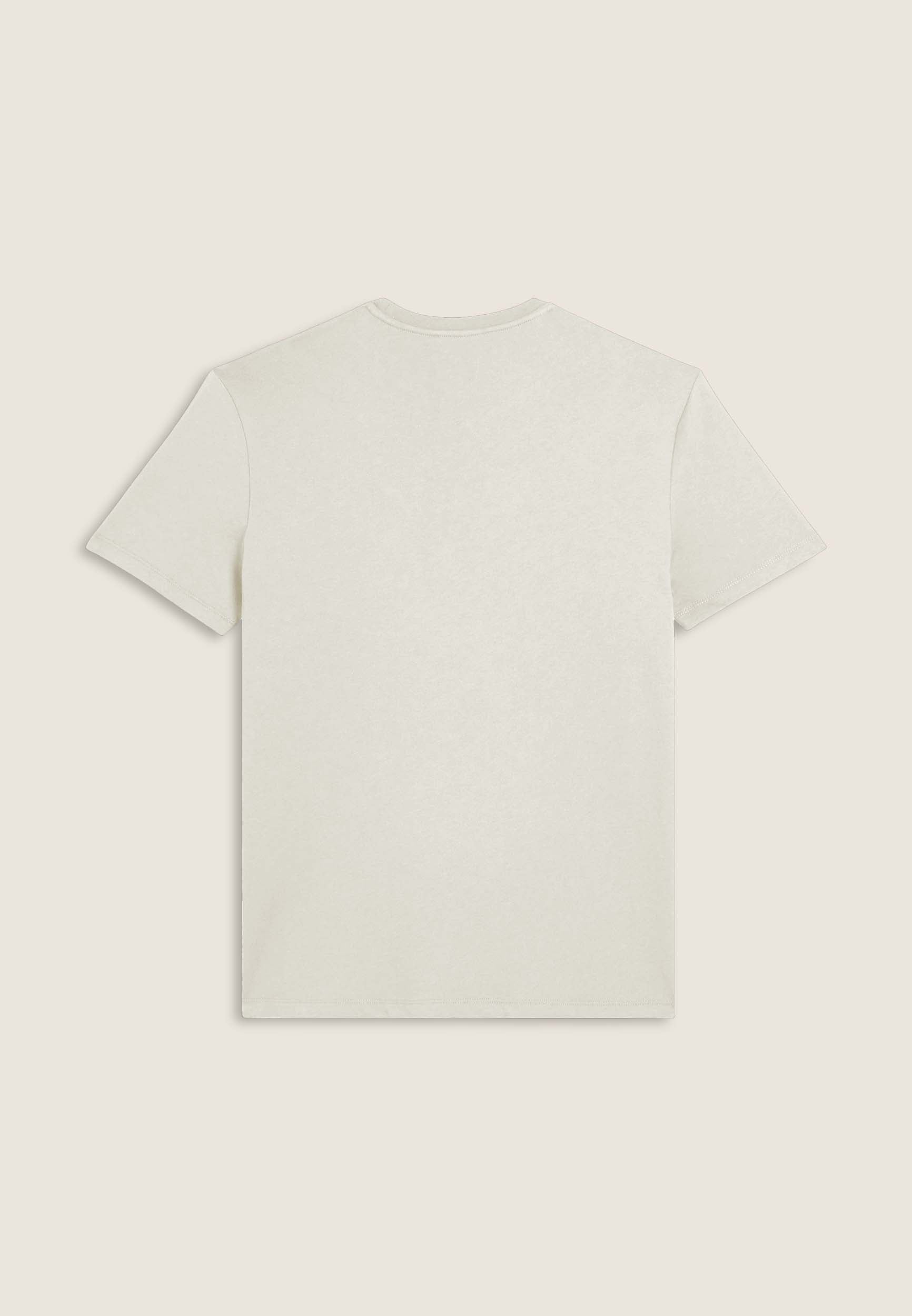 F25MEST6_W71_-_M_3XL 2