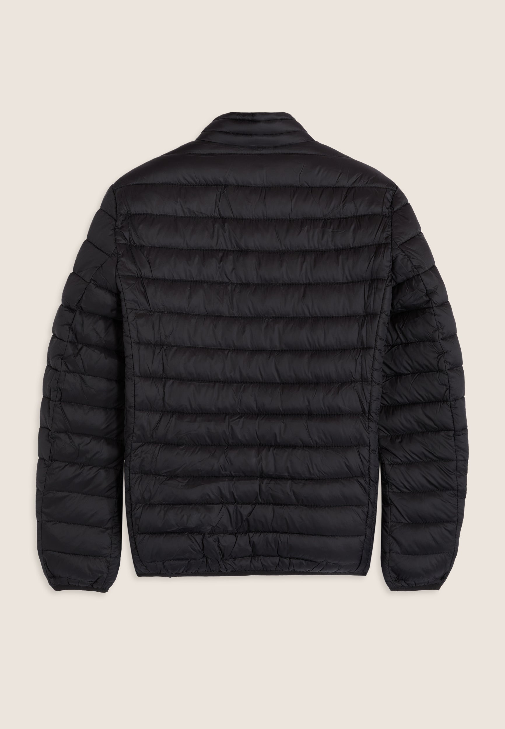 F25MPJJ2_NV143_-_M_L 2