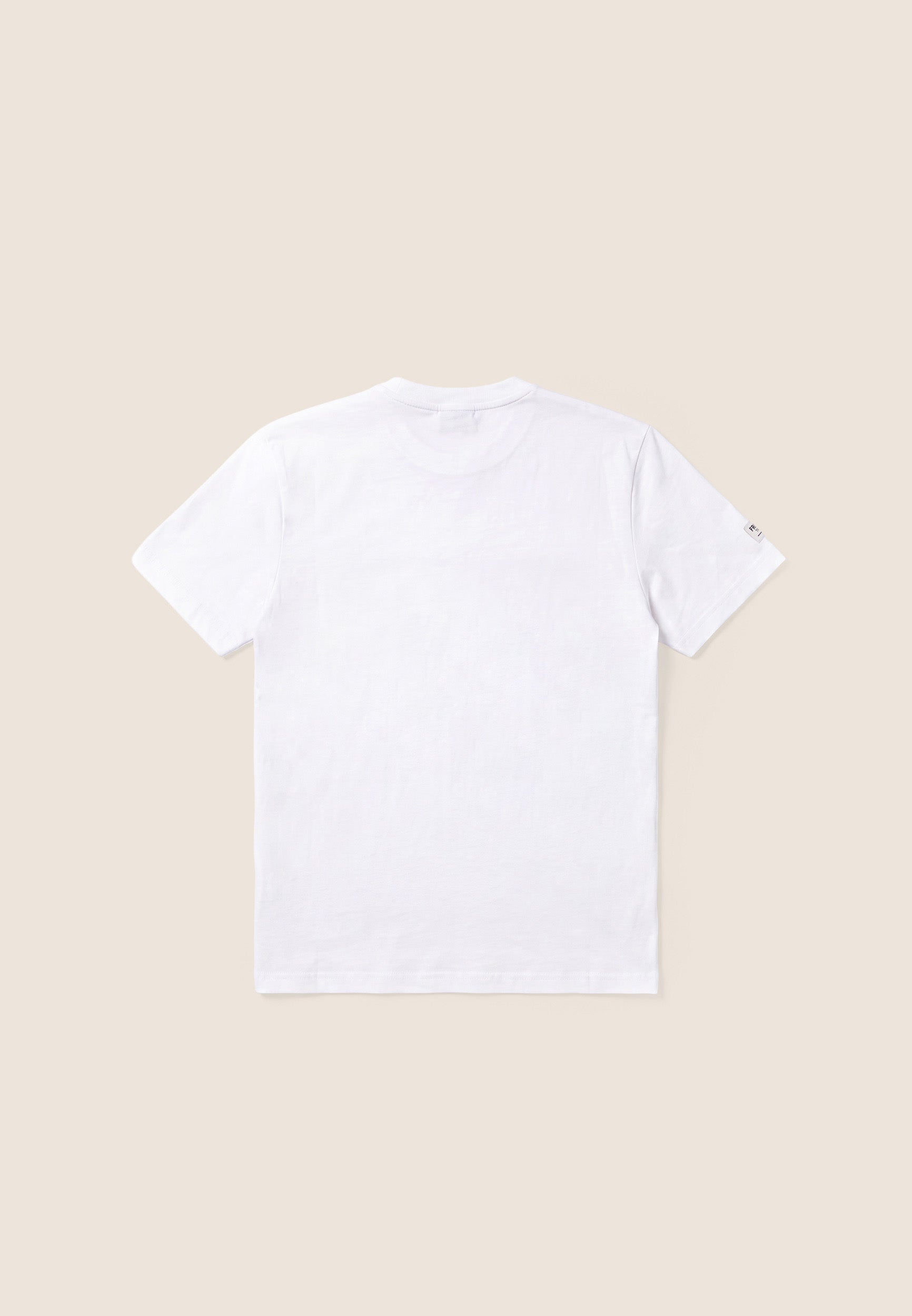 F26MTRT2_W_-_M_3XL 6