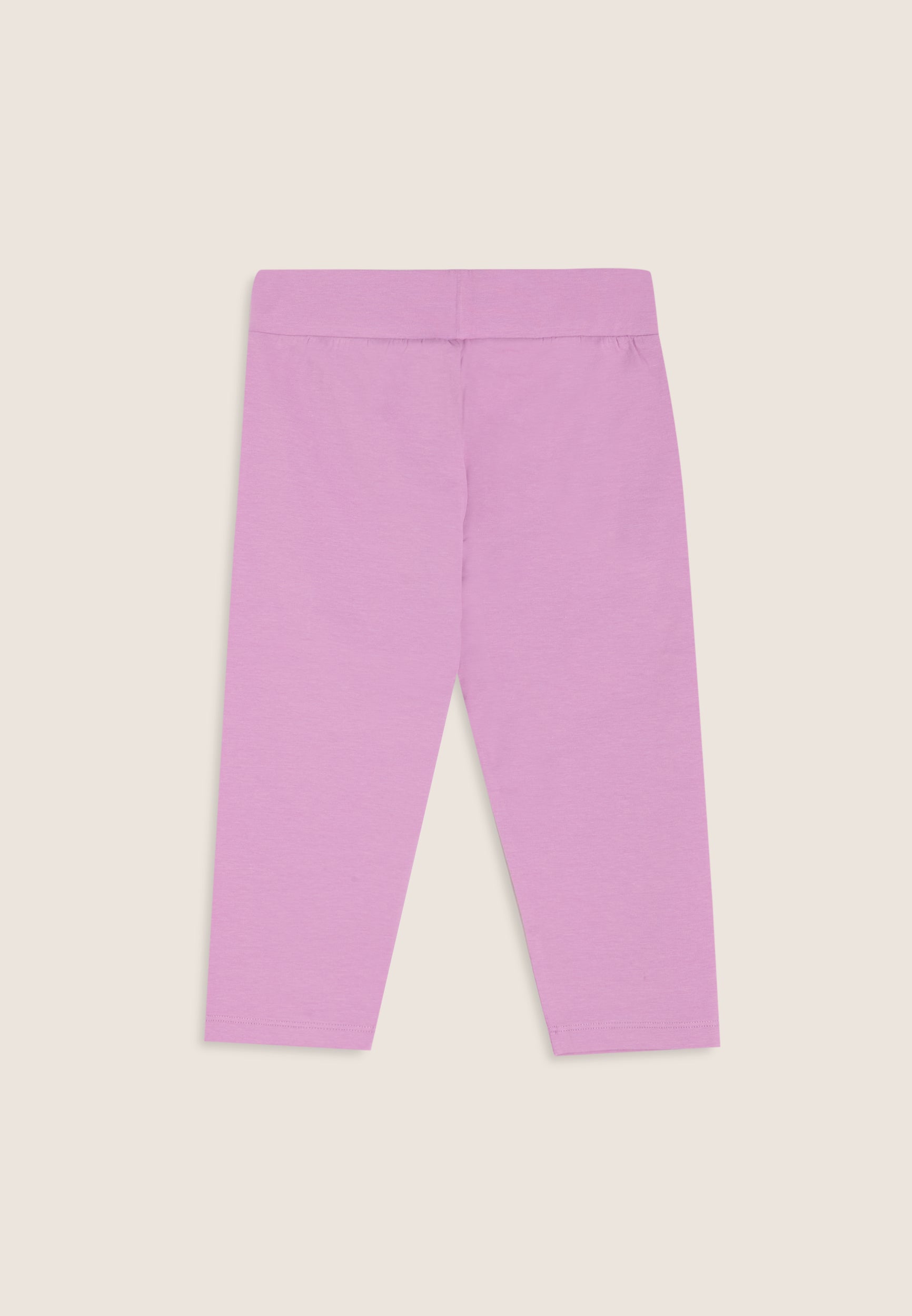 FR2010_2TB008_-_2BG_10 2