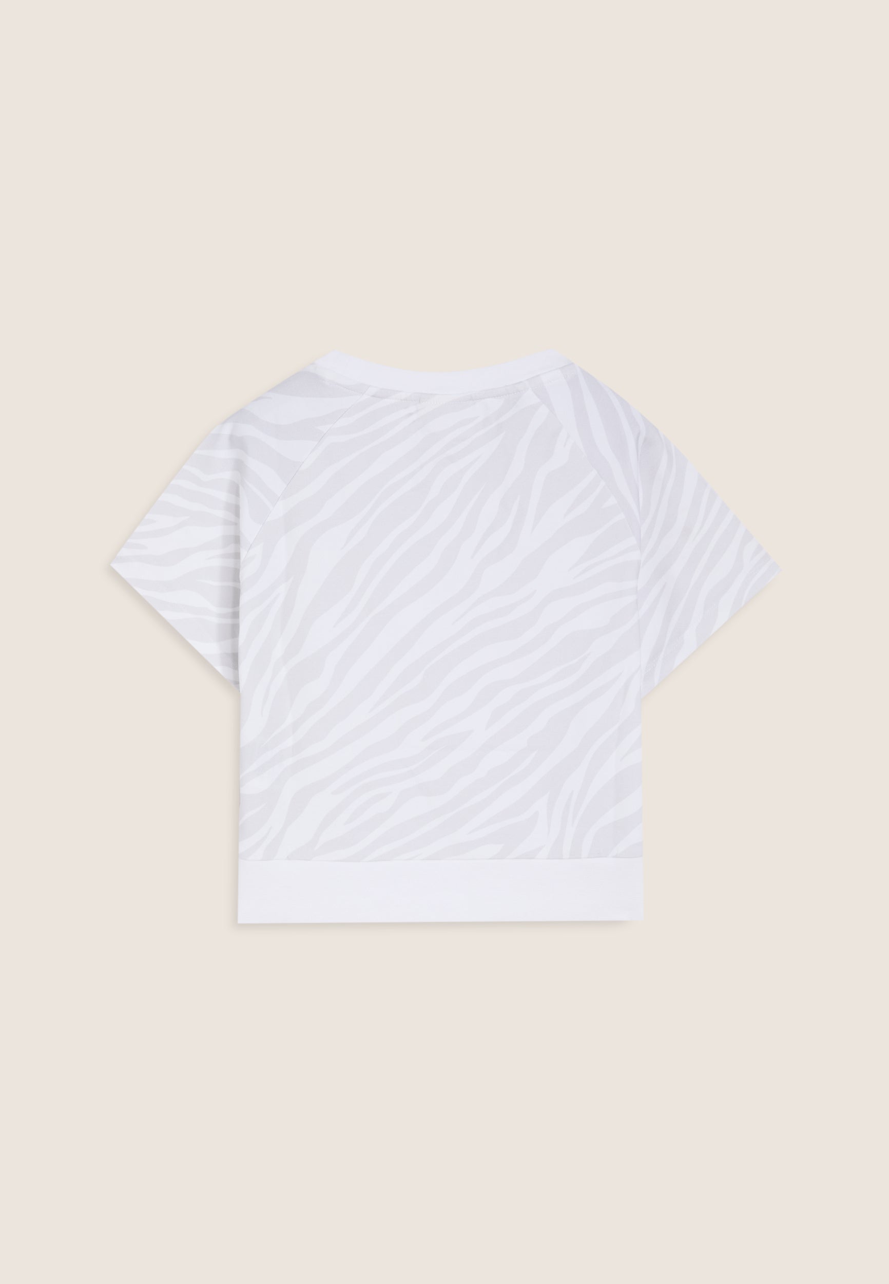 FR2034_2TB005_-_2BG_10 2