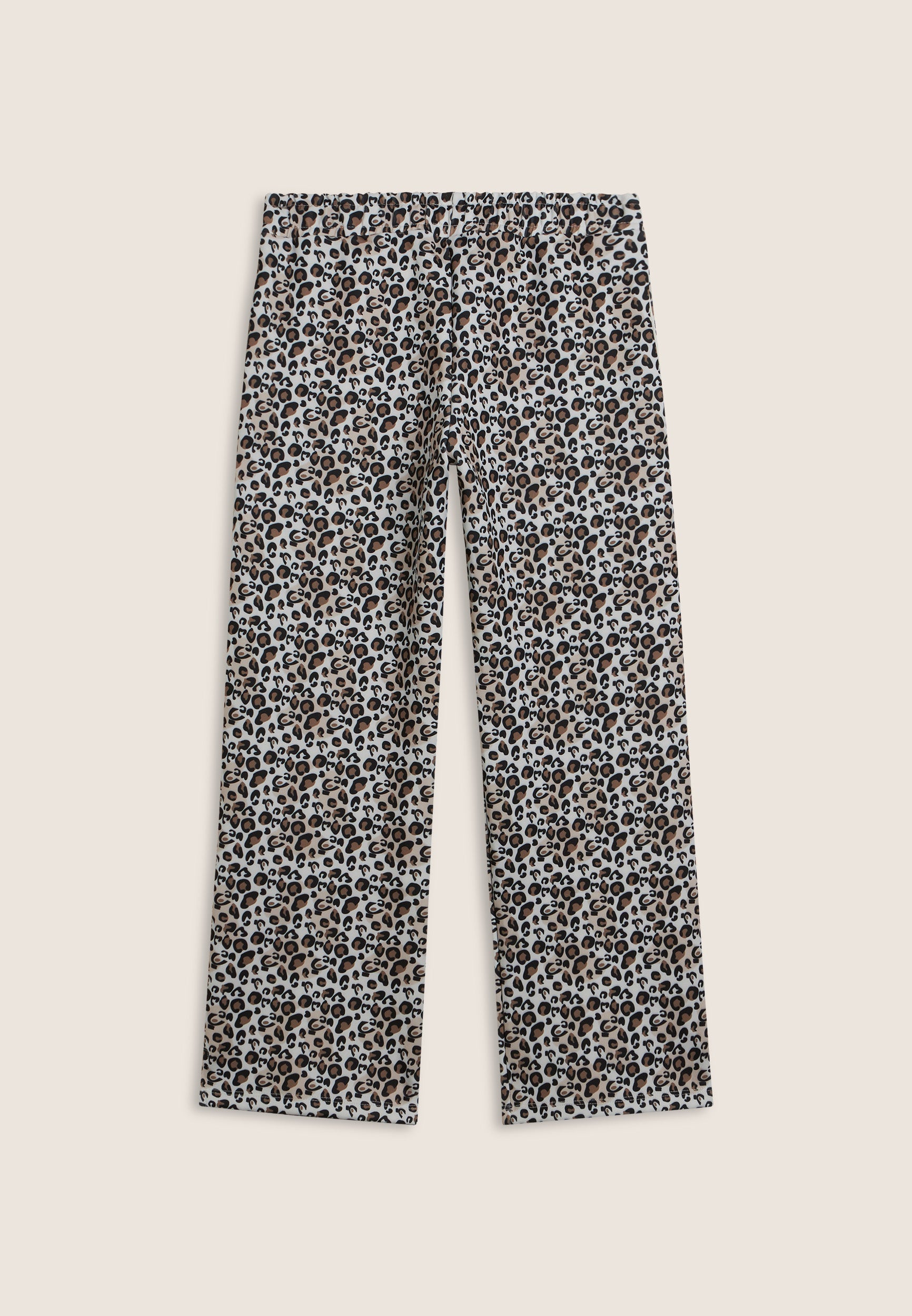 FR2113_2F5000_-_2BG_10 2