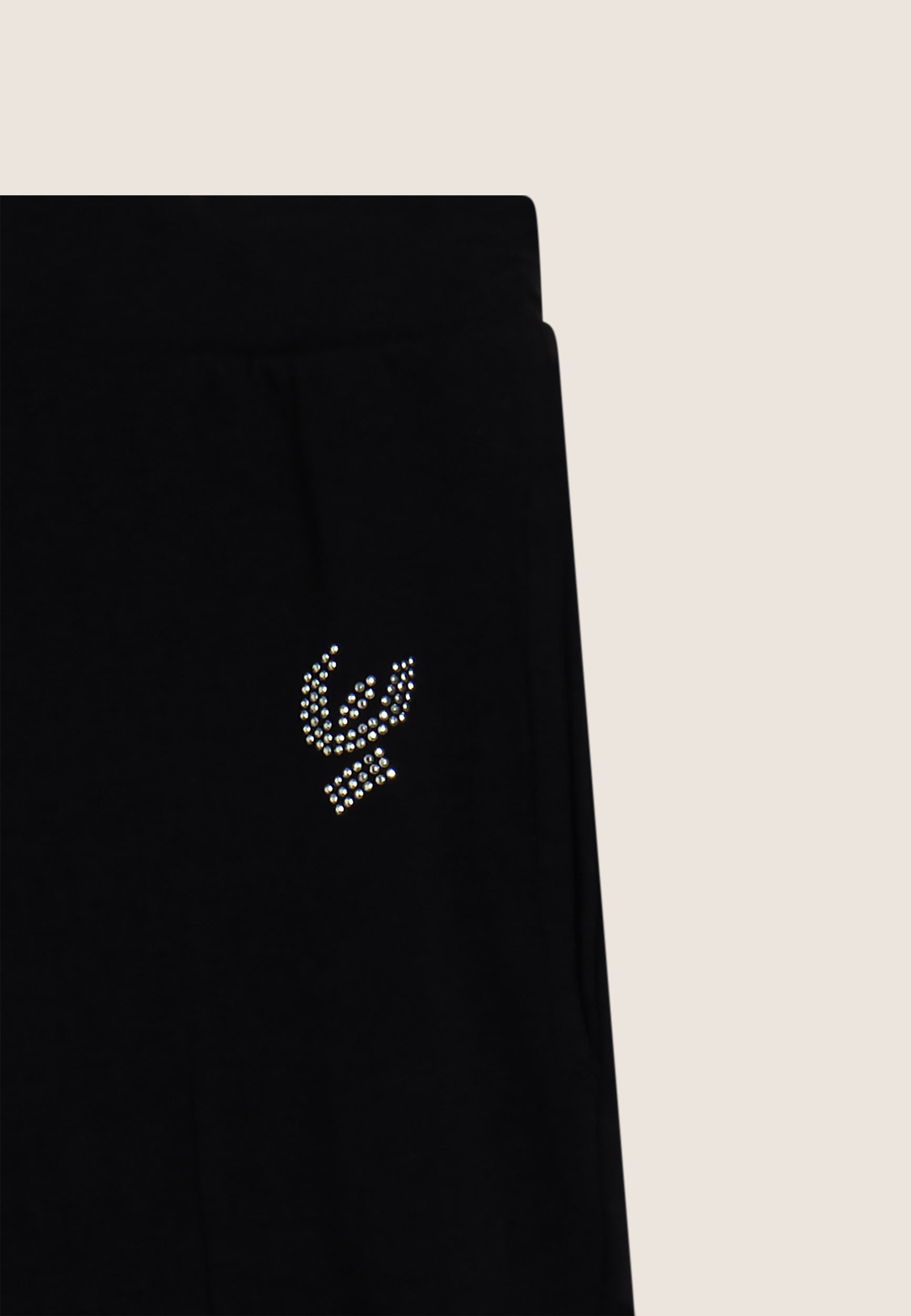 FR2310_2S6001_-_2BG_10 3