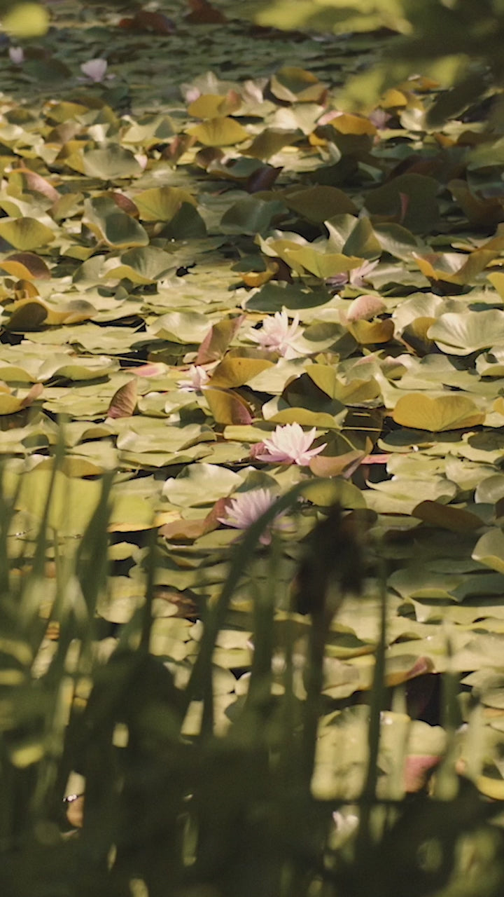 WRUP (RE)MOVE campaign by Nima Benati