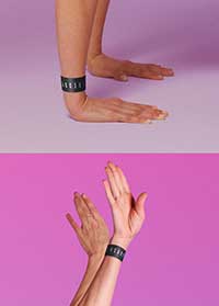 Freddy Energy Band